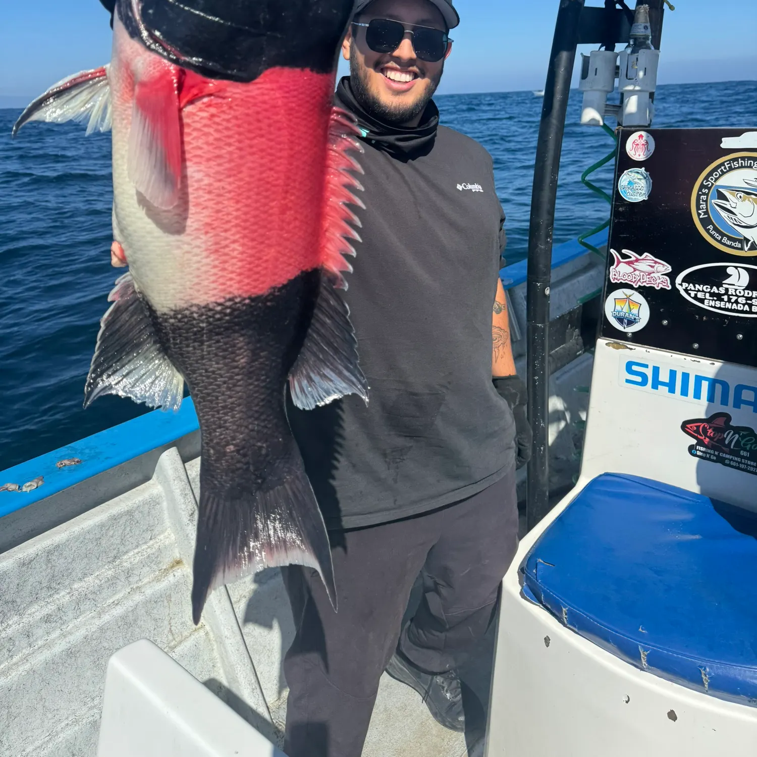 The most recent California sheephead catches on Fishbrain