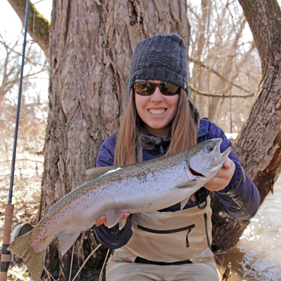 The most popular recent Steelhead catch on Fishbrain