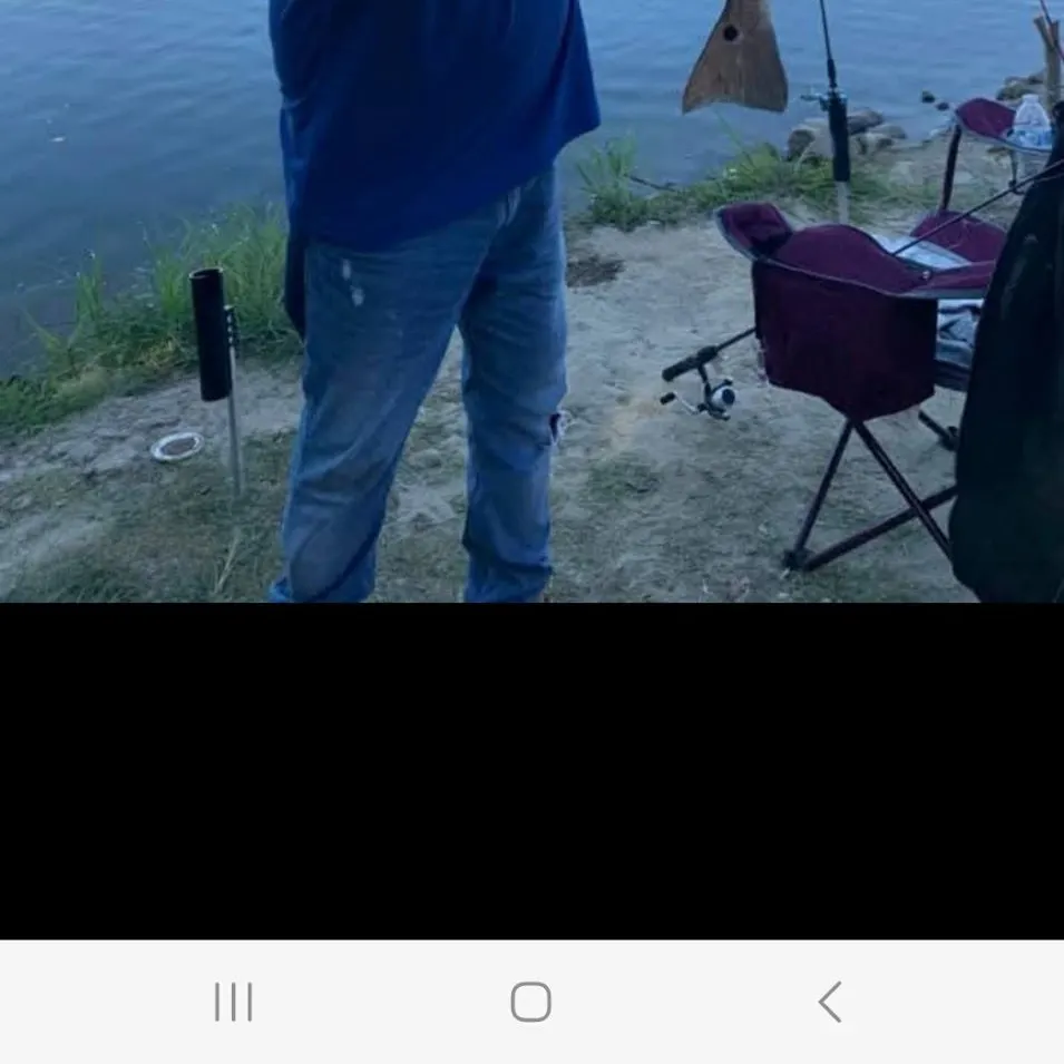 The most recent Corvina drum catches on Fishbrain