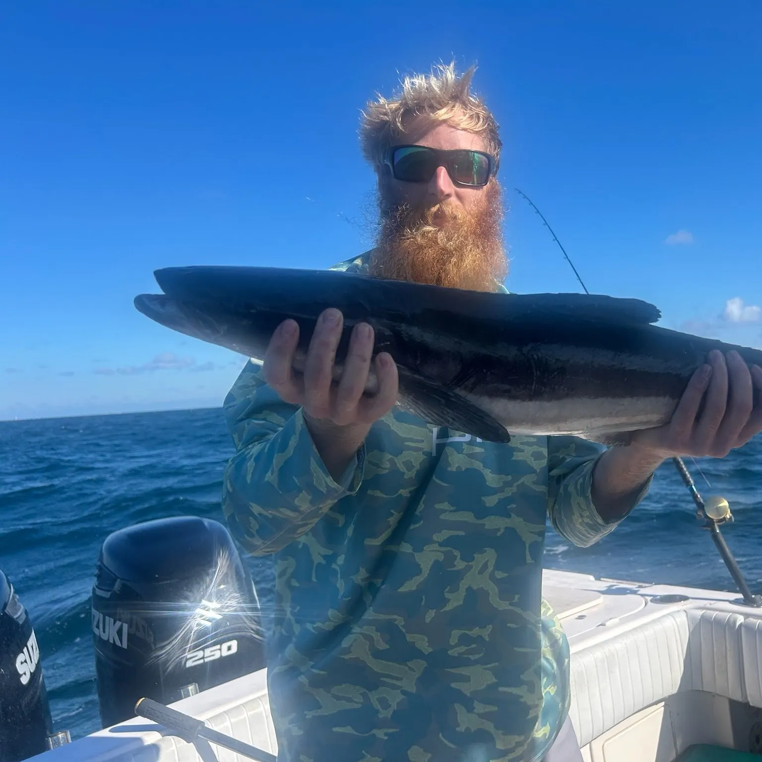Cobia caught on Fishbrain