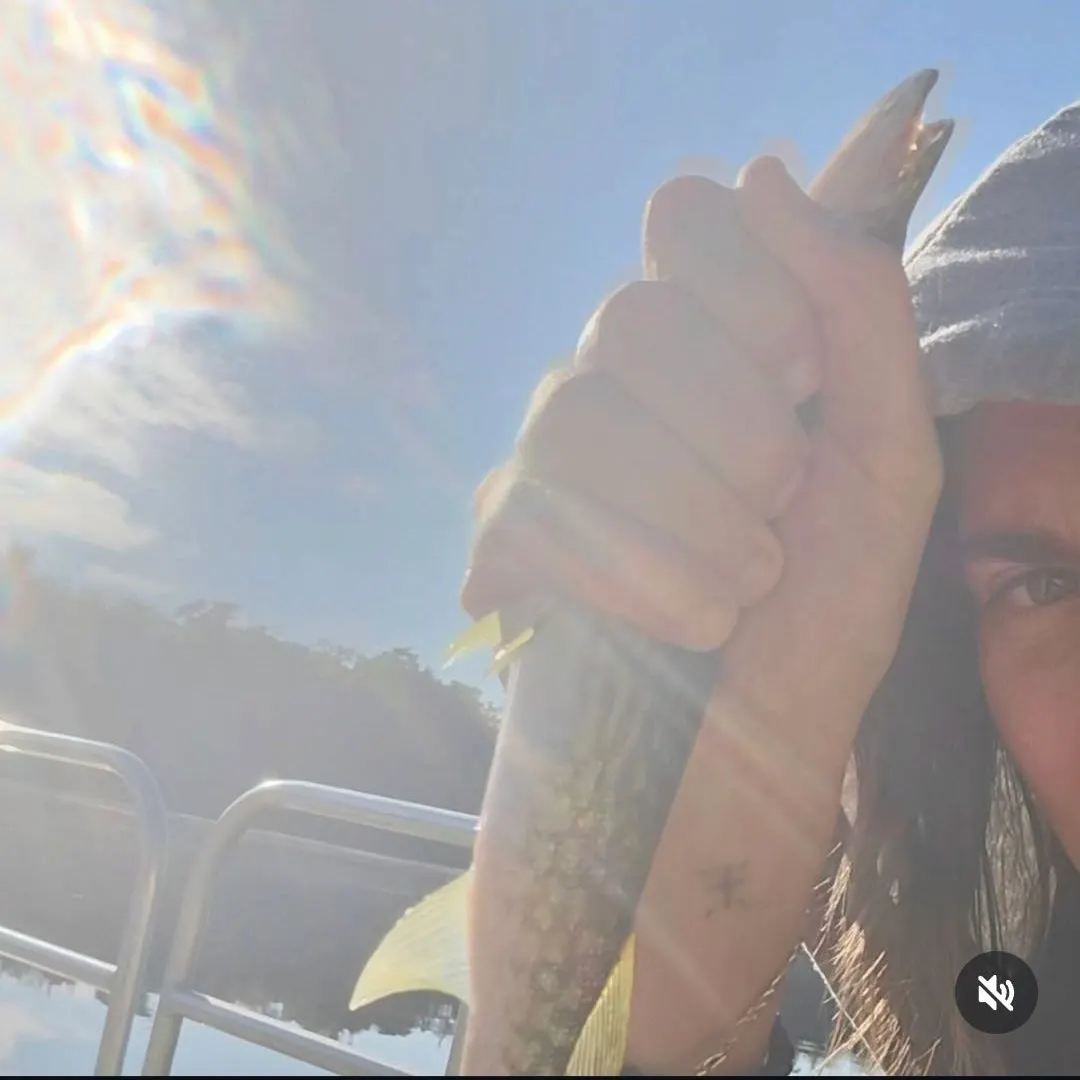 Chain pickerel caught on Fishbrain