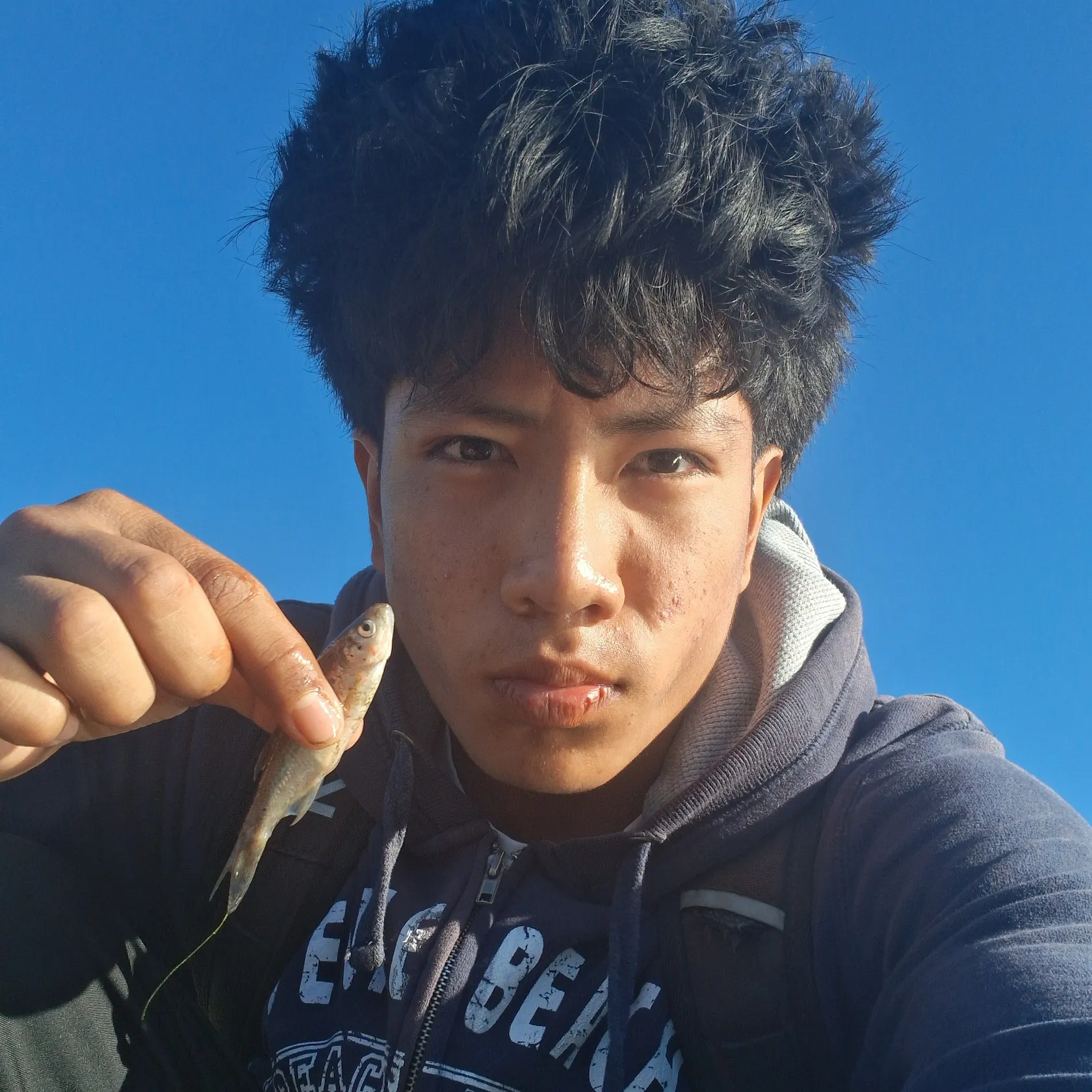 Fathead minnow caught on Fishbrain