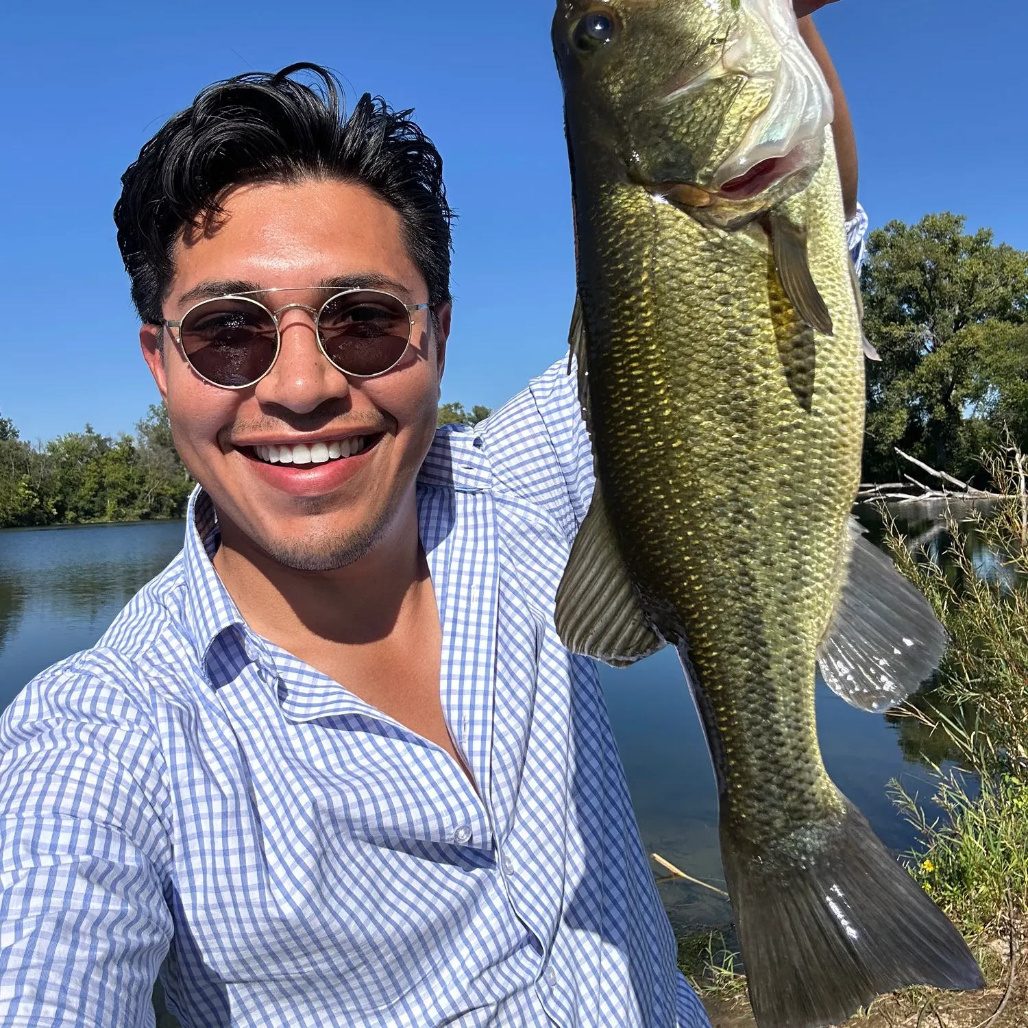 Largemouth bass caught on Fishbrain