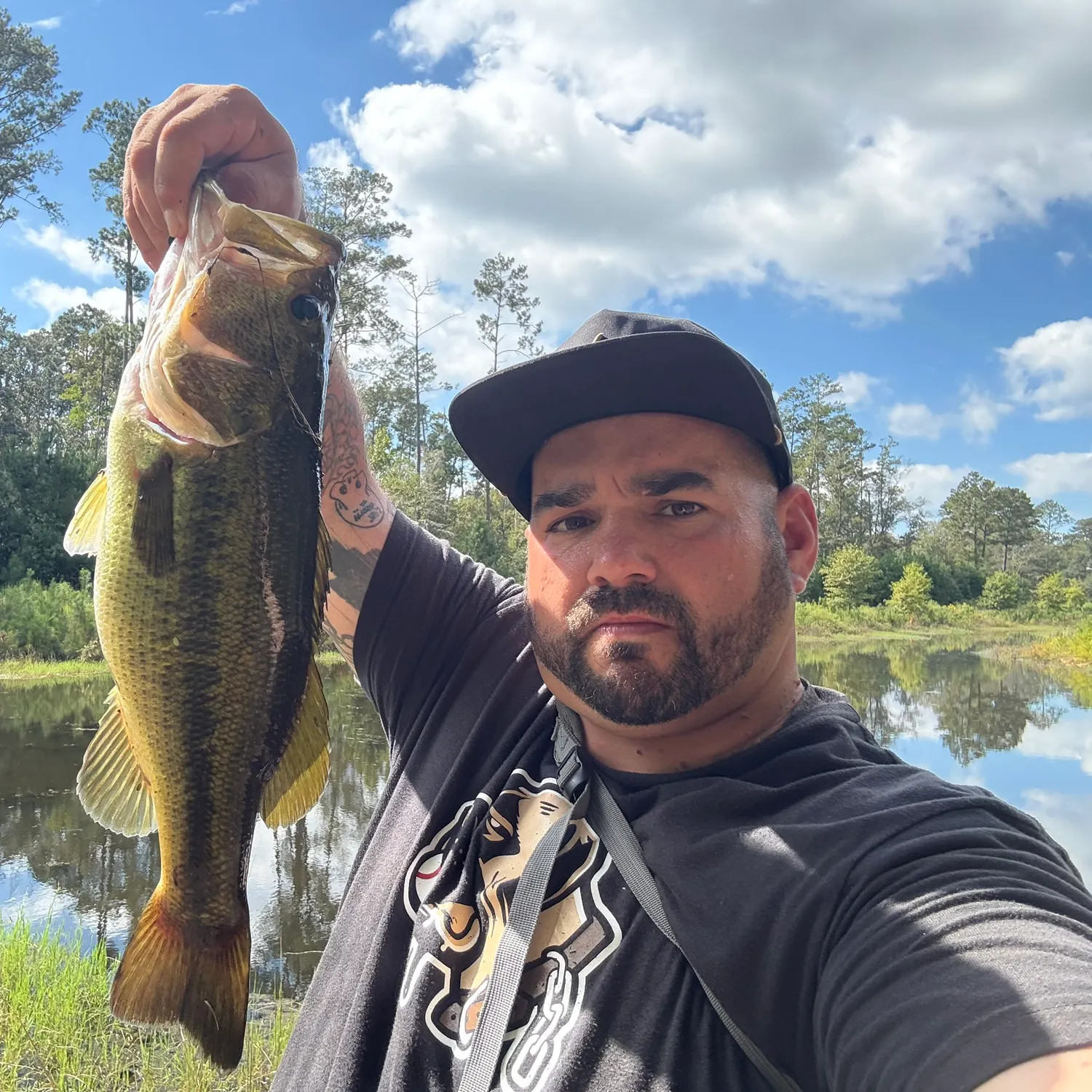 Largemouth bass caught on Fishbrain