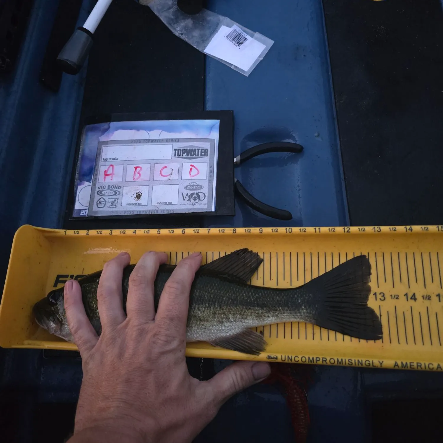 recently logged catches