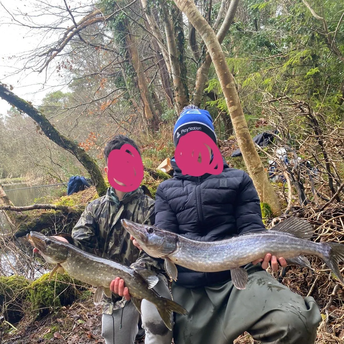 The most recent Northern pike catches on Fishbrain