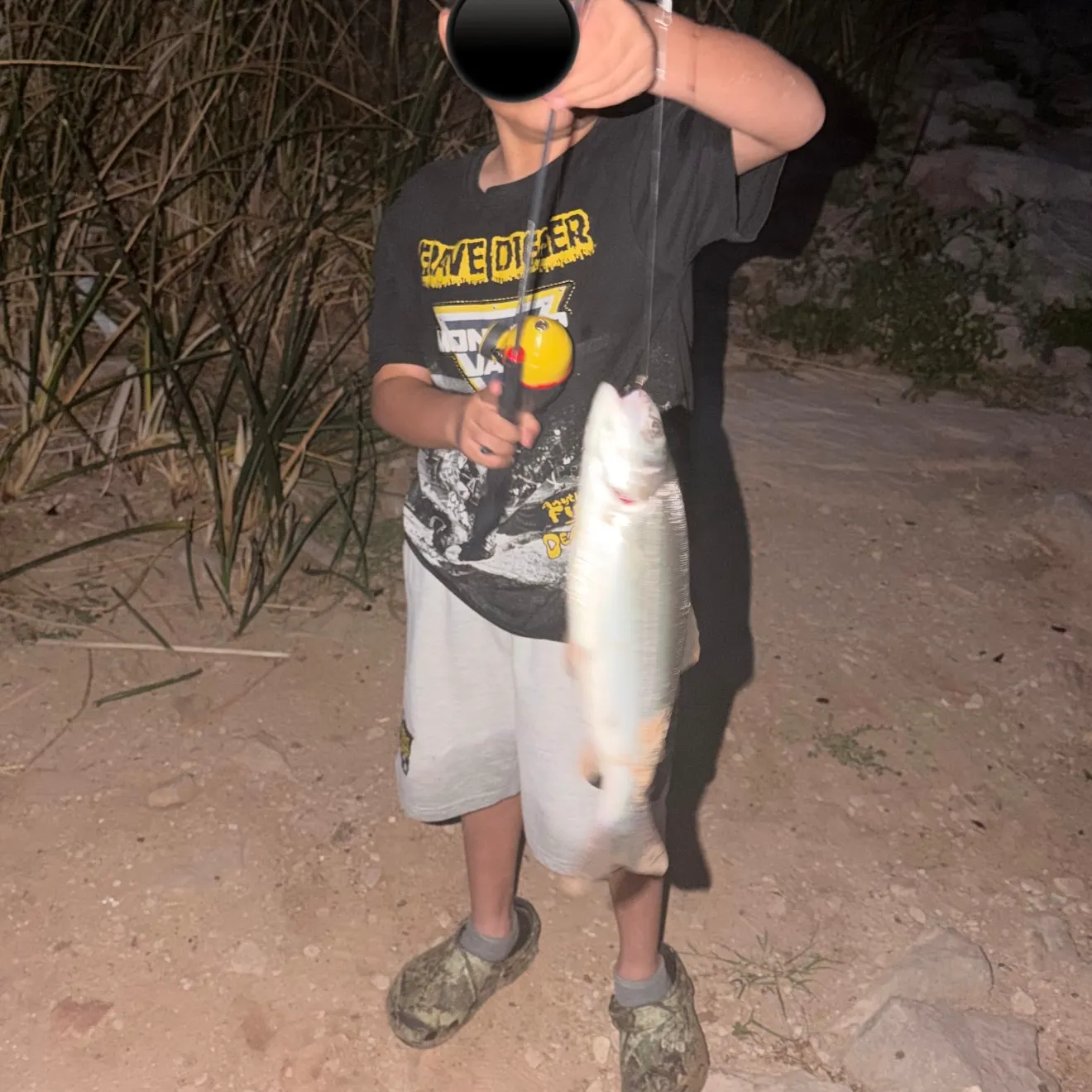 Rainbow trout caught on Fishbrain