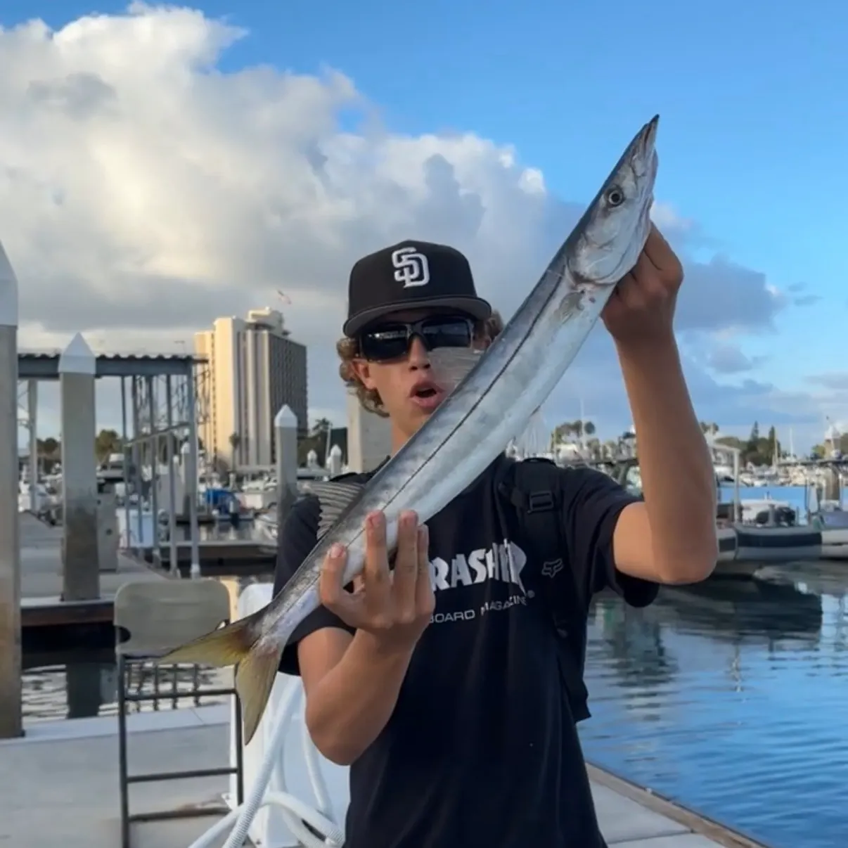 Pacific barracuda caught on Fishbrain
