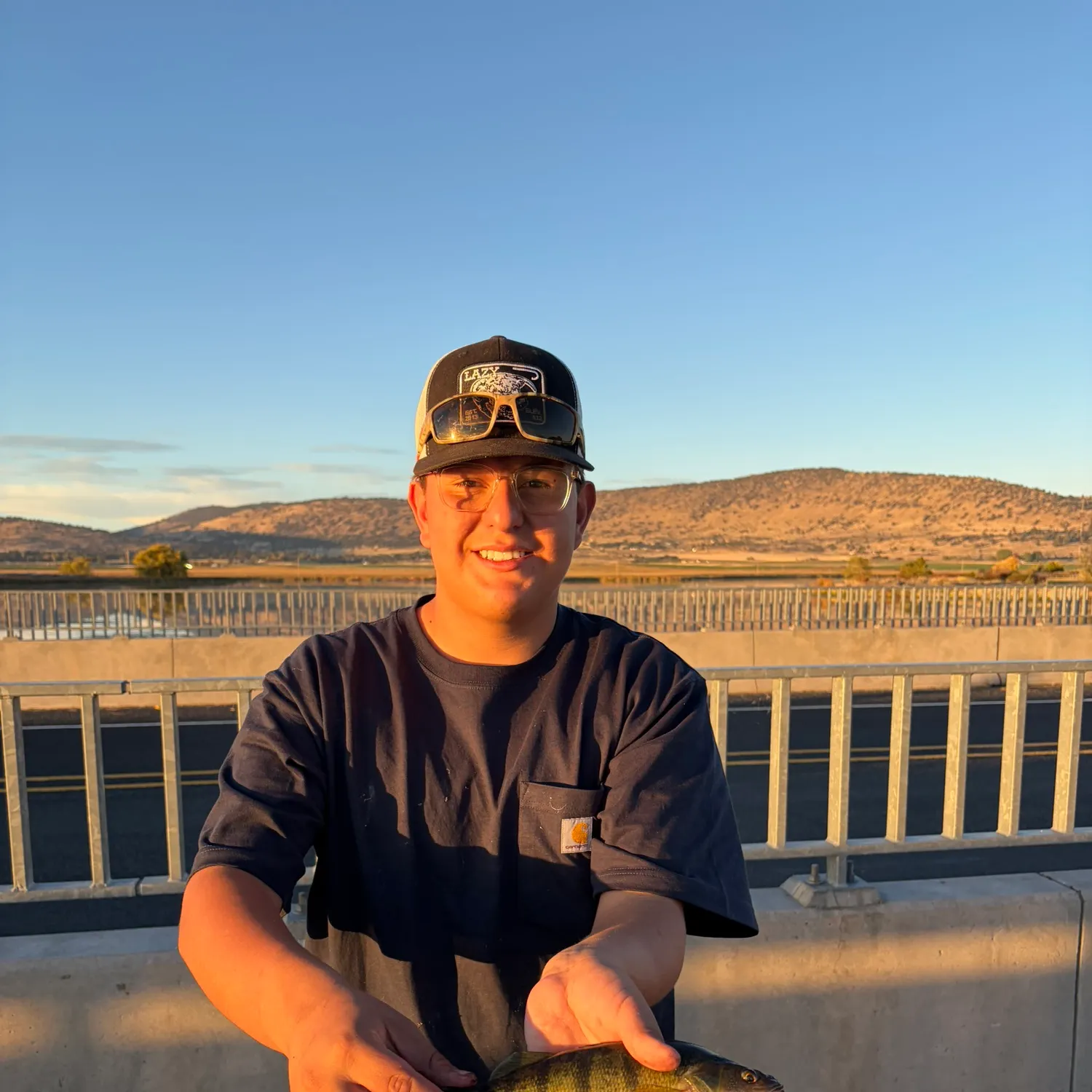 Yellow perch caught on Fishbrain