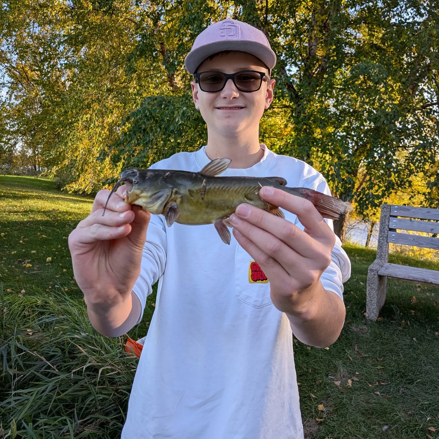 Black bullhead caught on Fishbrain