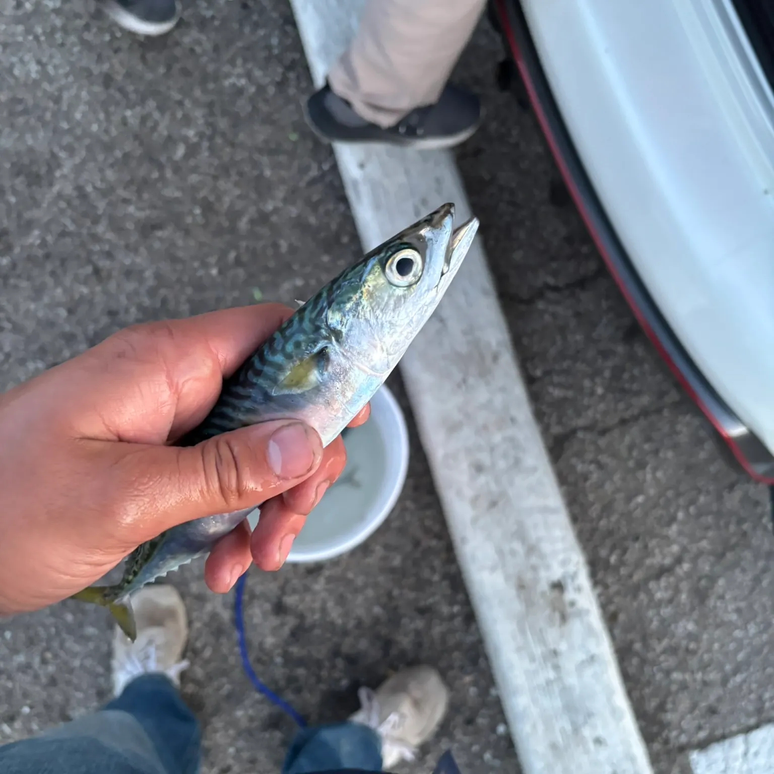 catch
