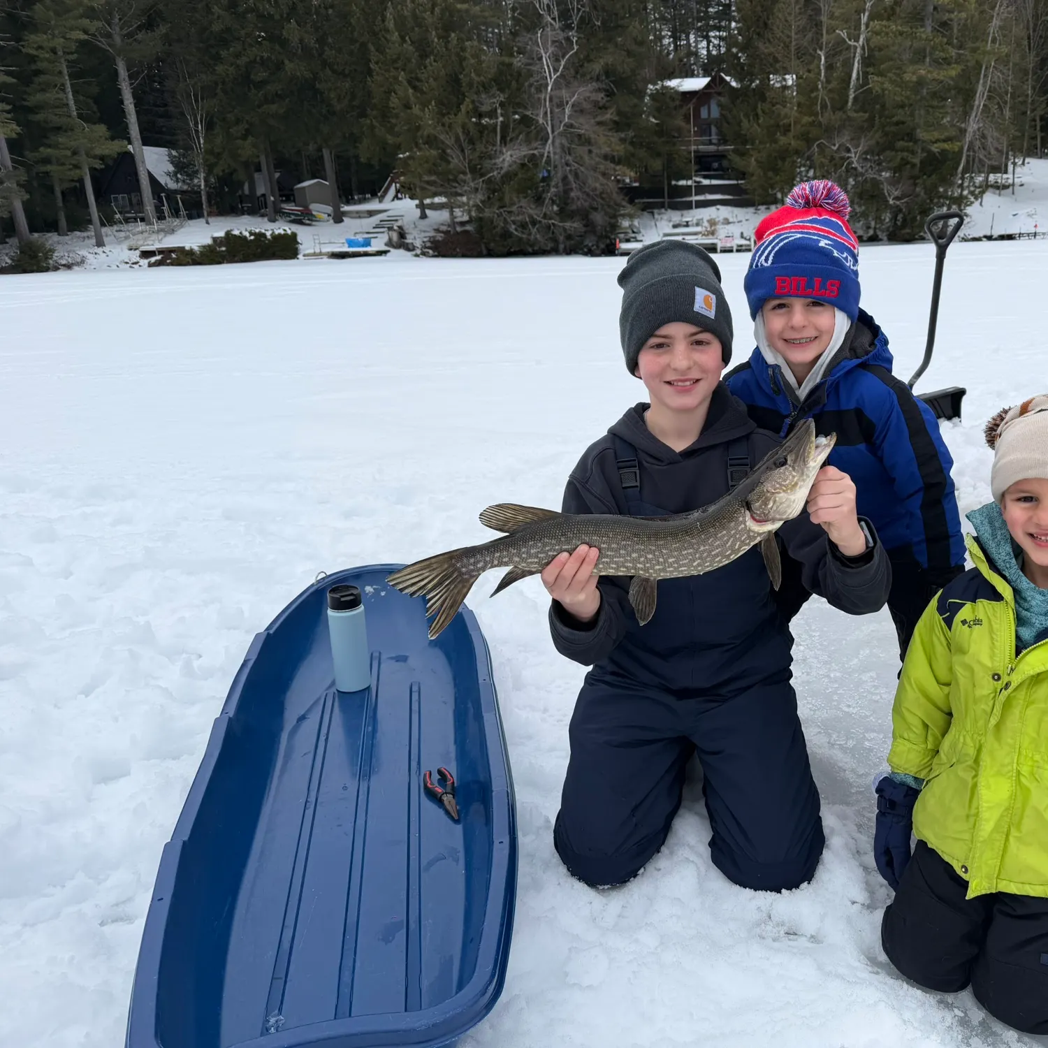 The most recent Northern pike catches on Fishbrain