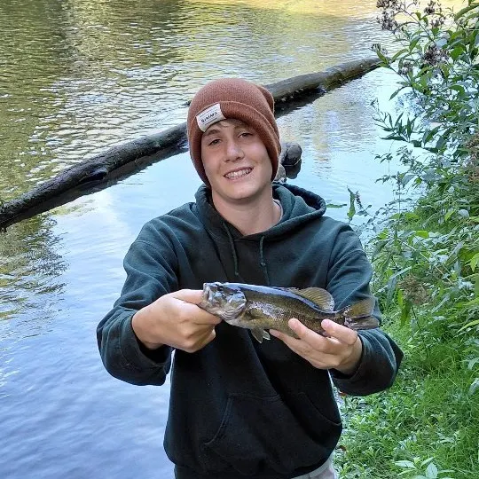 Smallmouth bass caught on Fishbrain