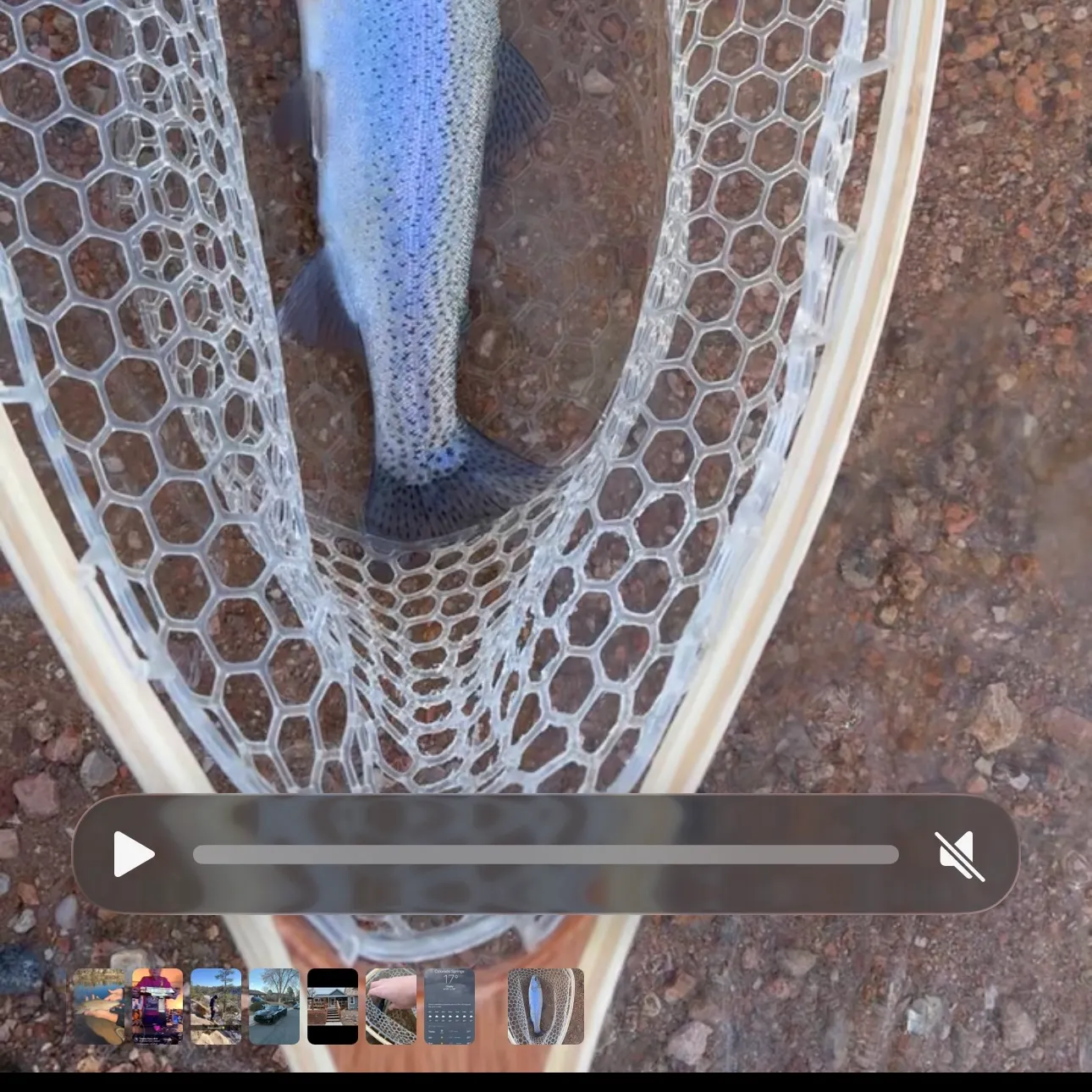 recently logged catches