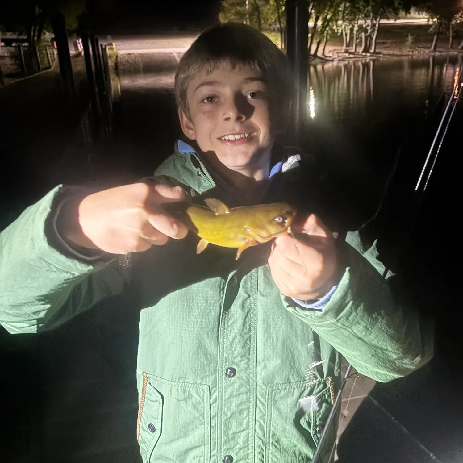 Yellow bullhead caught on Fishbrain