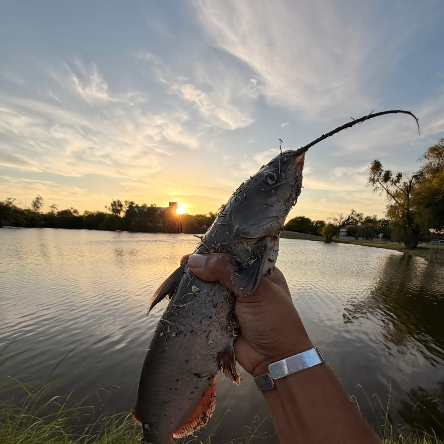 catch