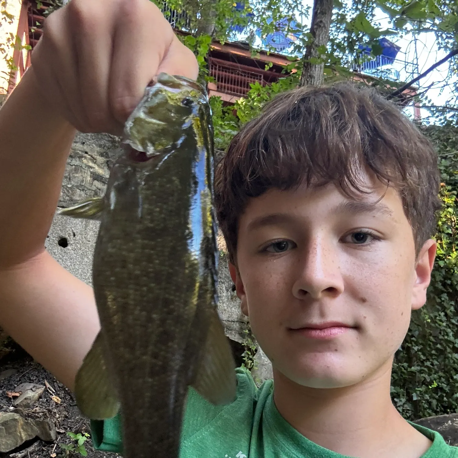 Smallmouth bass caught on Fishbrain
