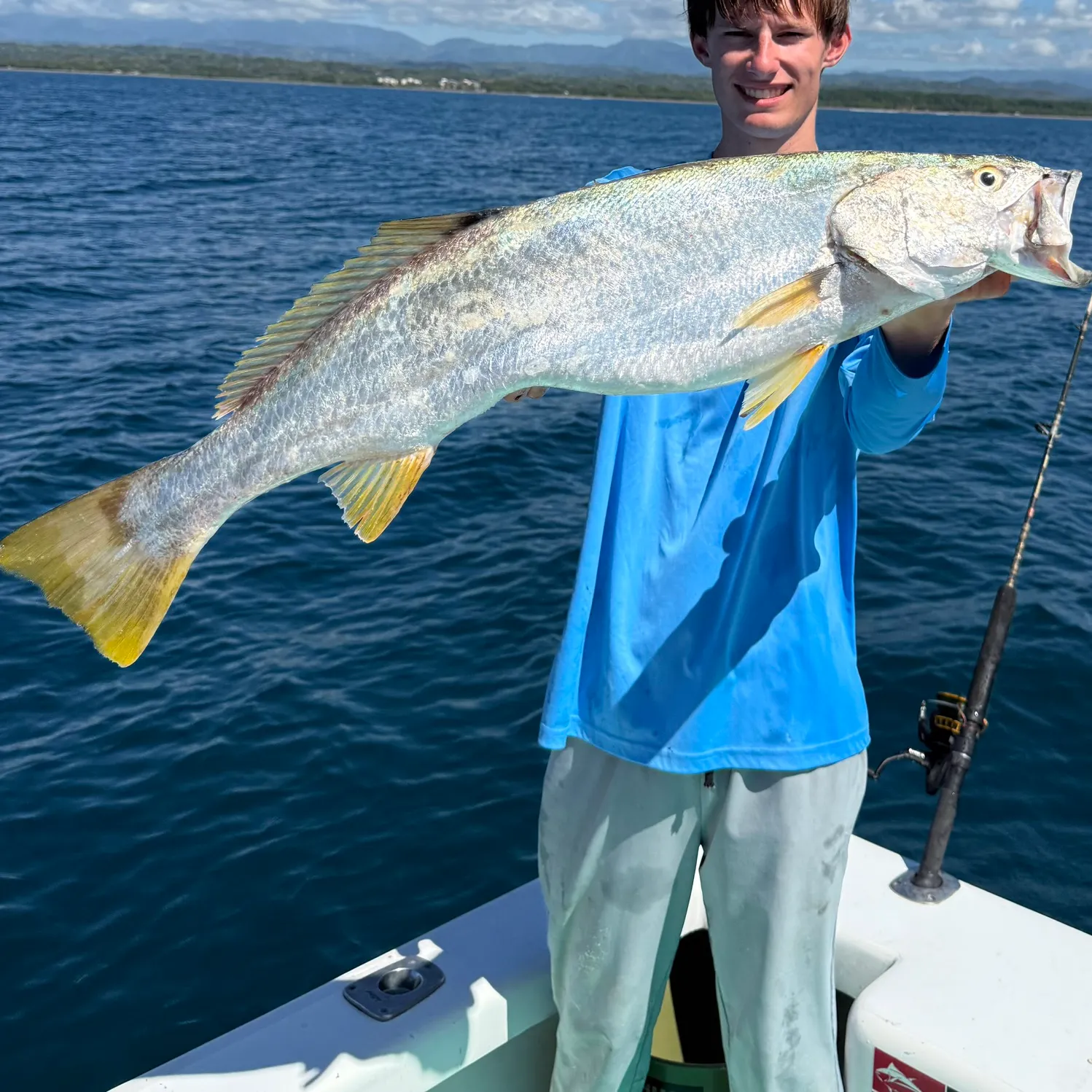 The most recent Stolzmann's weakfish catches on Fishbrain