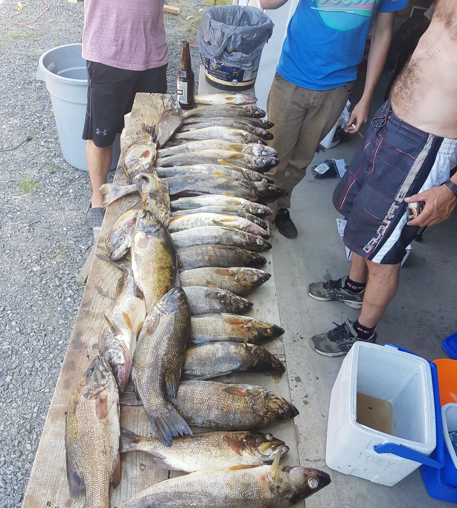 recently logged catches