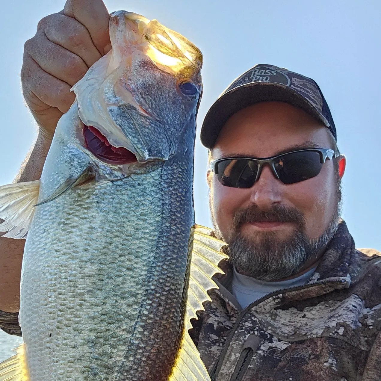 ᐅ O. H. Ivie Lake fishing reports🎣• Brownwood, TX (United States) fishing
