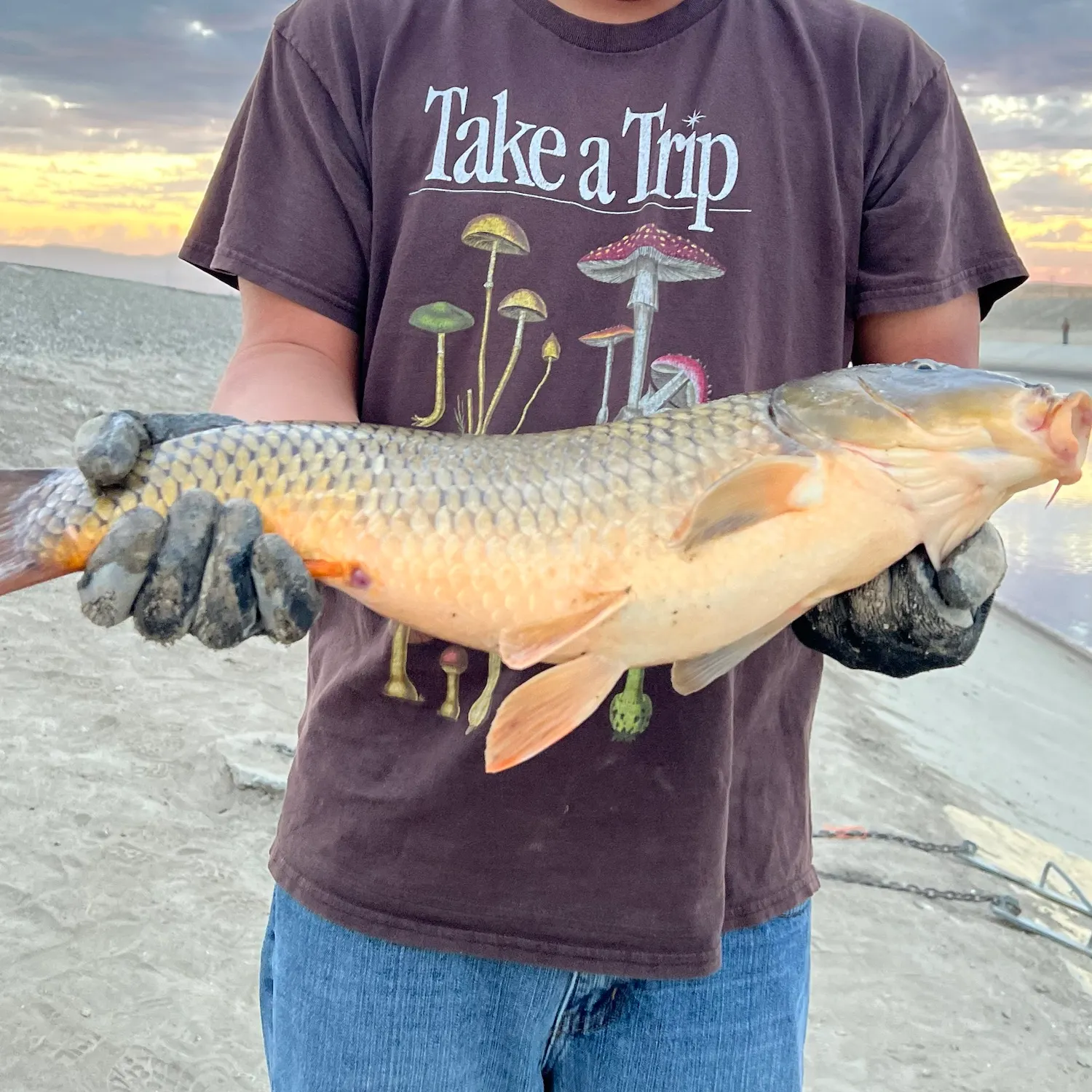 catch