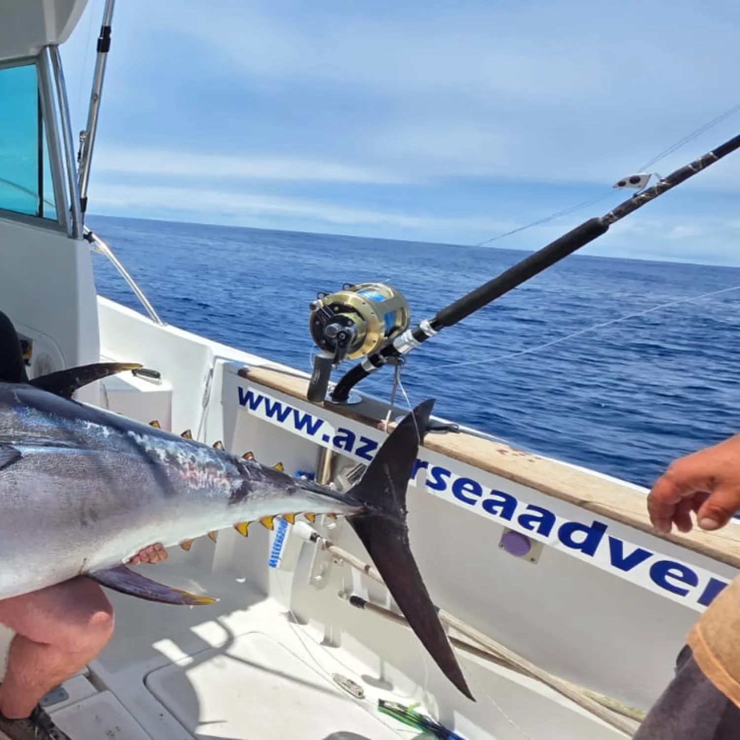 The most recent Bigeye tuna catches on Fishbrain