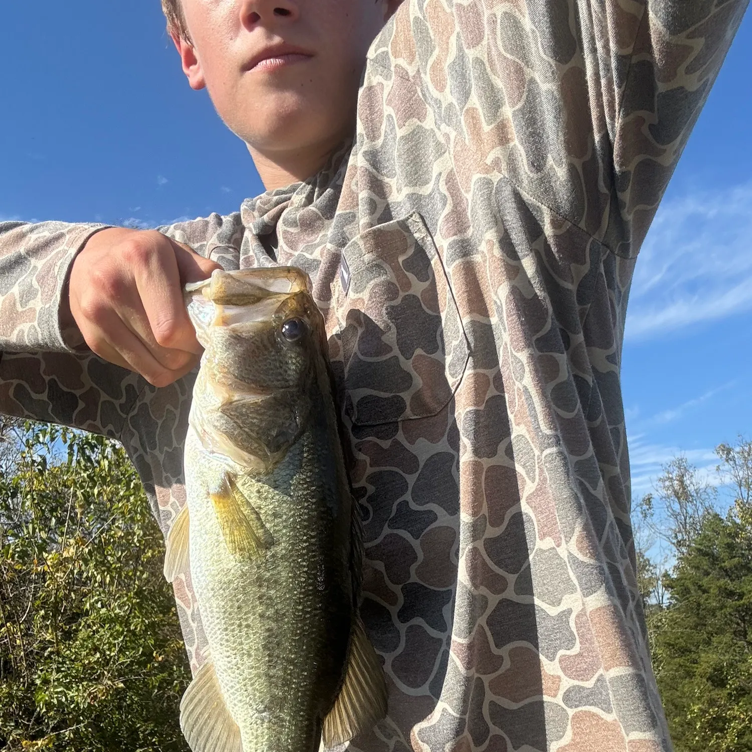 Largemouth bass caught on Fishbrain
