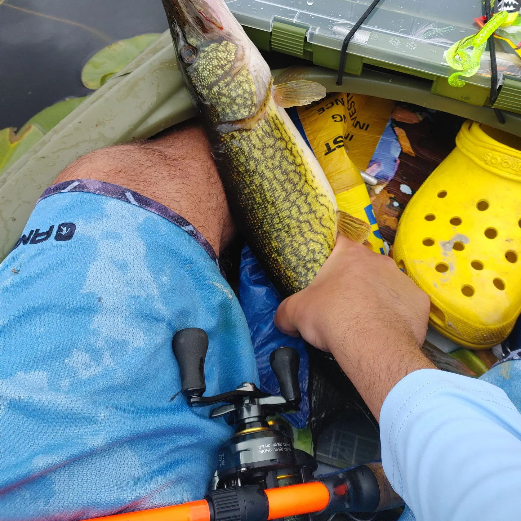 recently logged catches