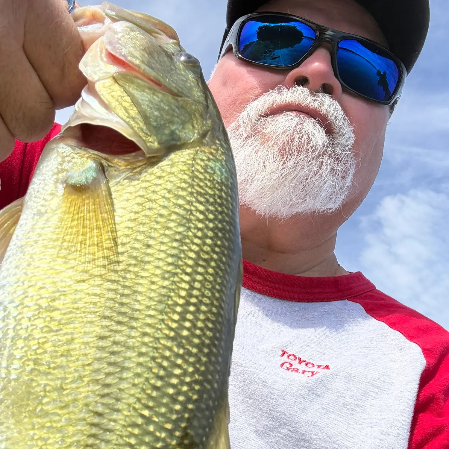 Largemouth bass caught on Fishbrain