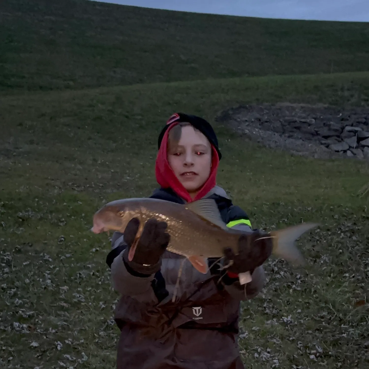 The most recent Spotted sucker catches on Fishbrain