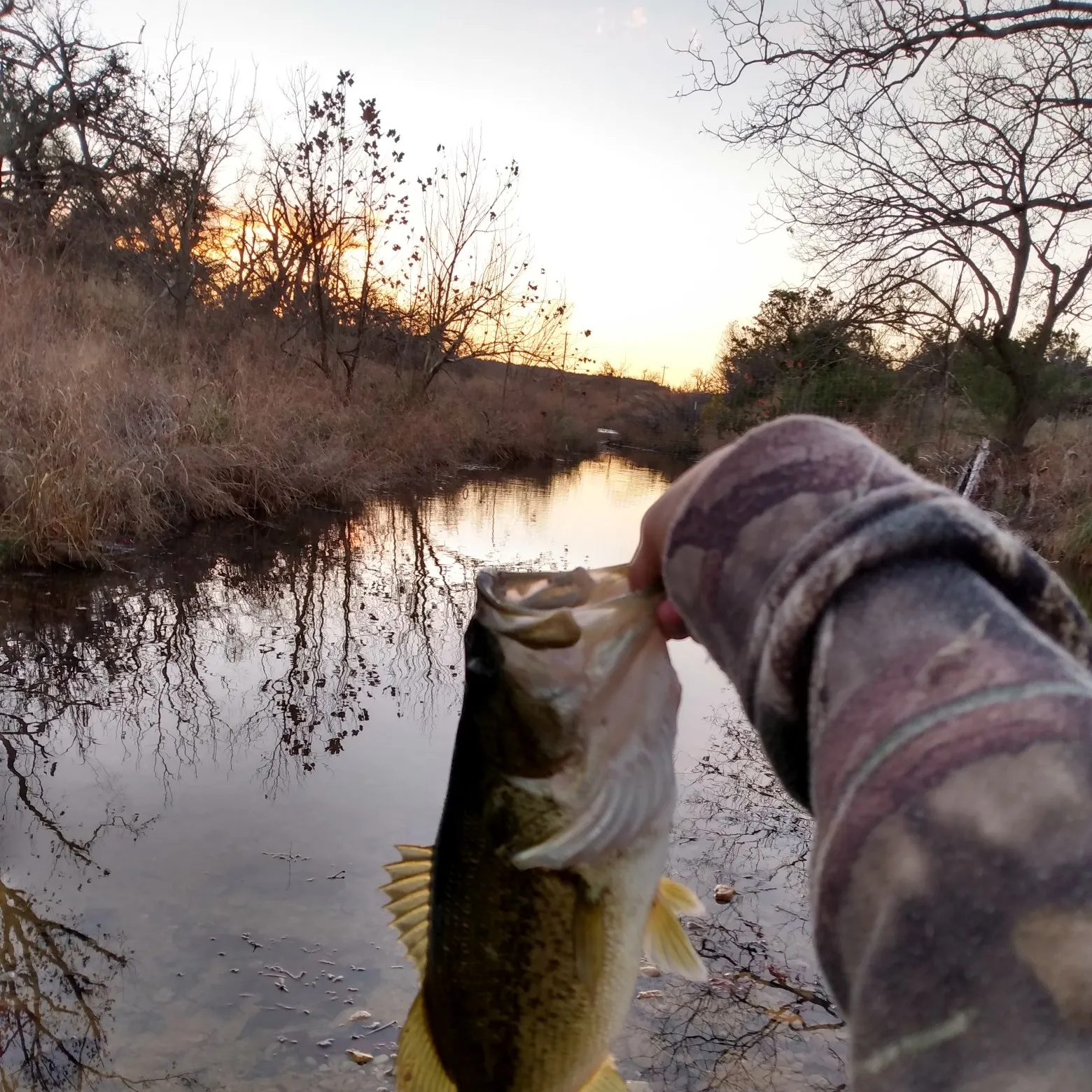 Fish caught on Fishbrain