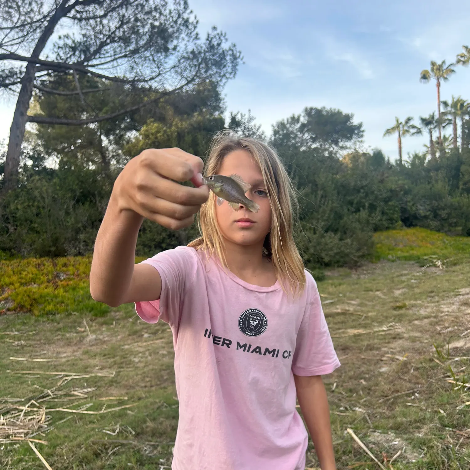 The most recent Indo-Pacific blue marlin catches on Fishbrain