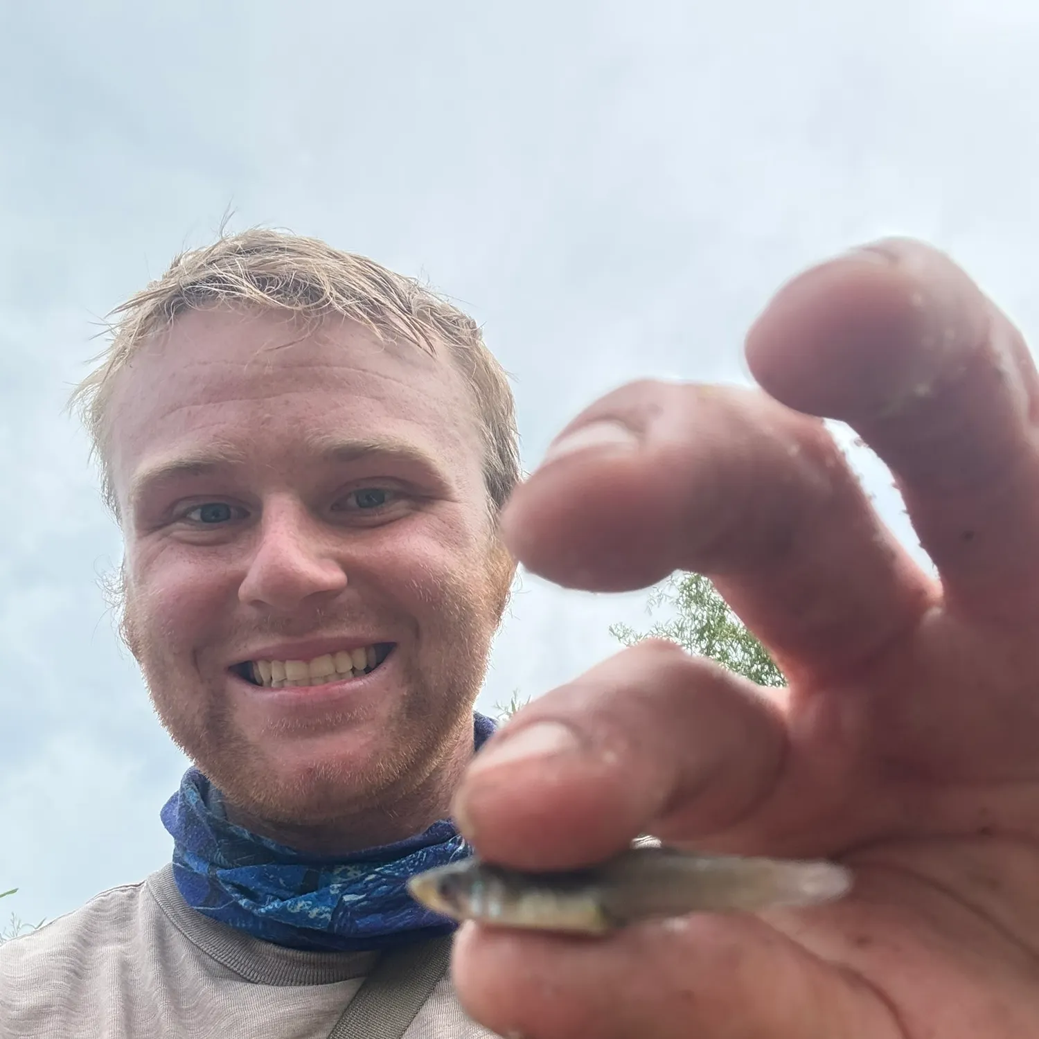 The most recent Western mosquitofish catches on Fishbrain