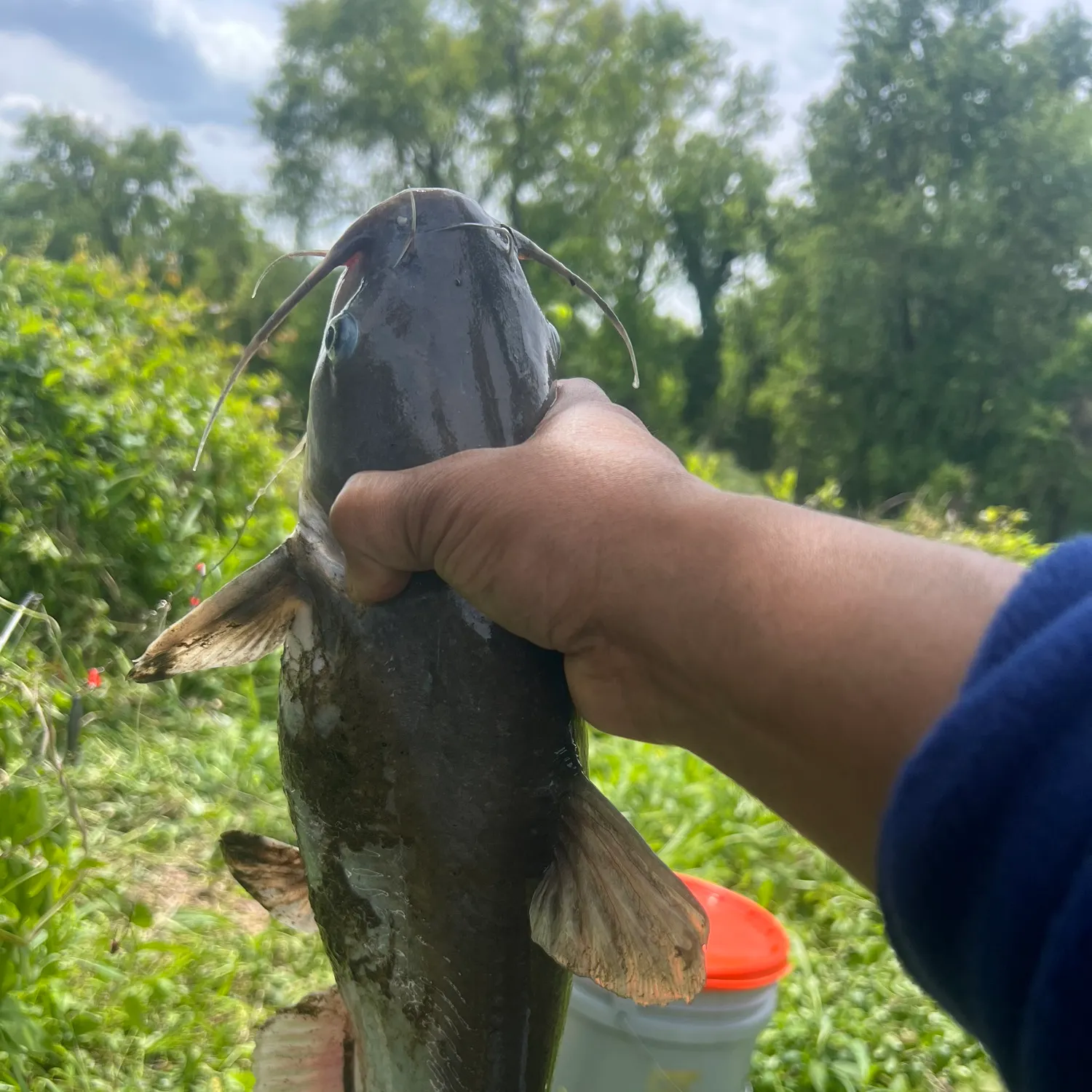 catch