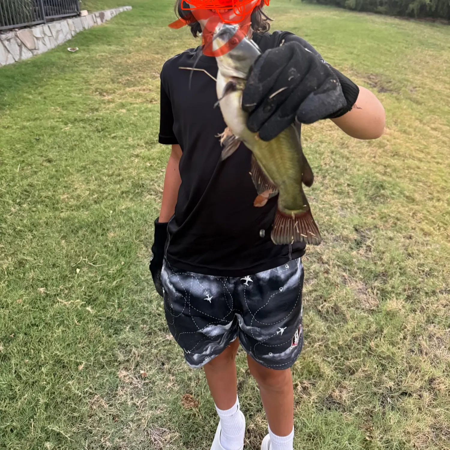 Channel catfish caught on Fishbrain