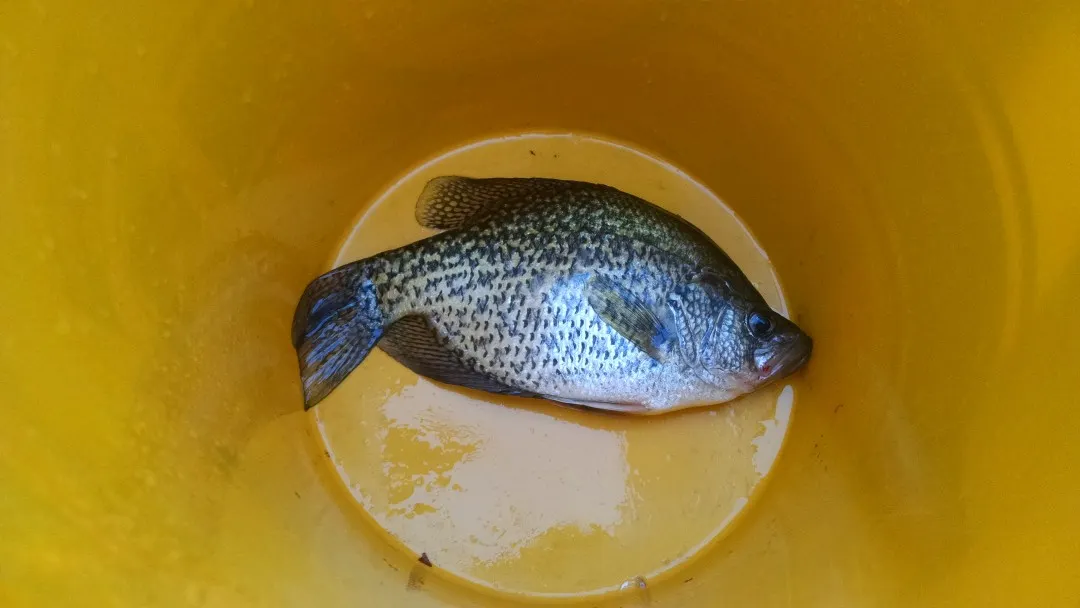 Post image from rg1993