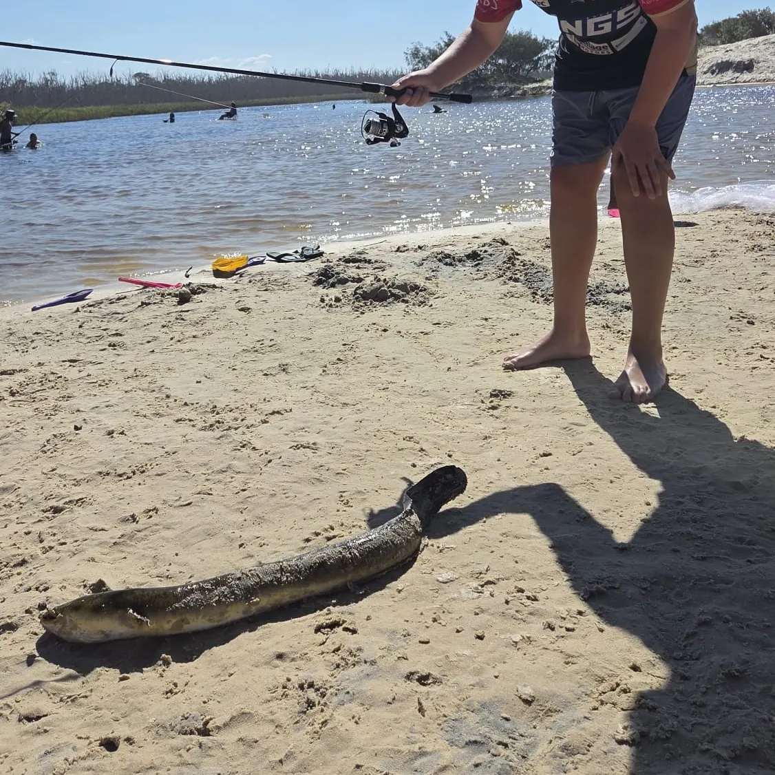 The most recent Speckled longfin eel catches on Fishbrain