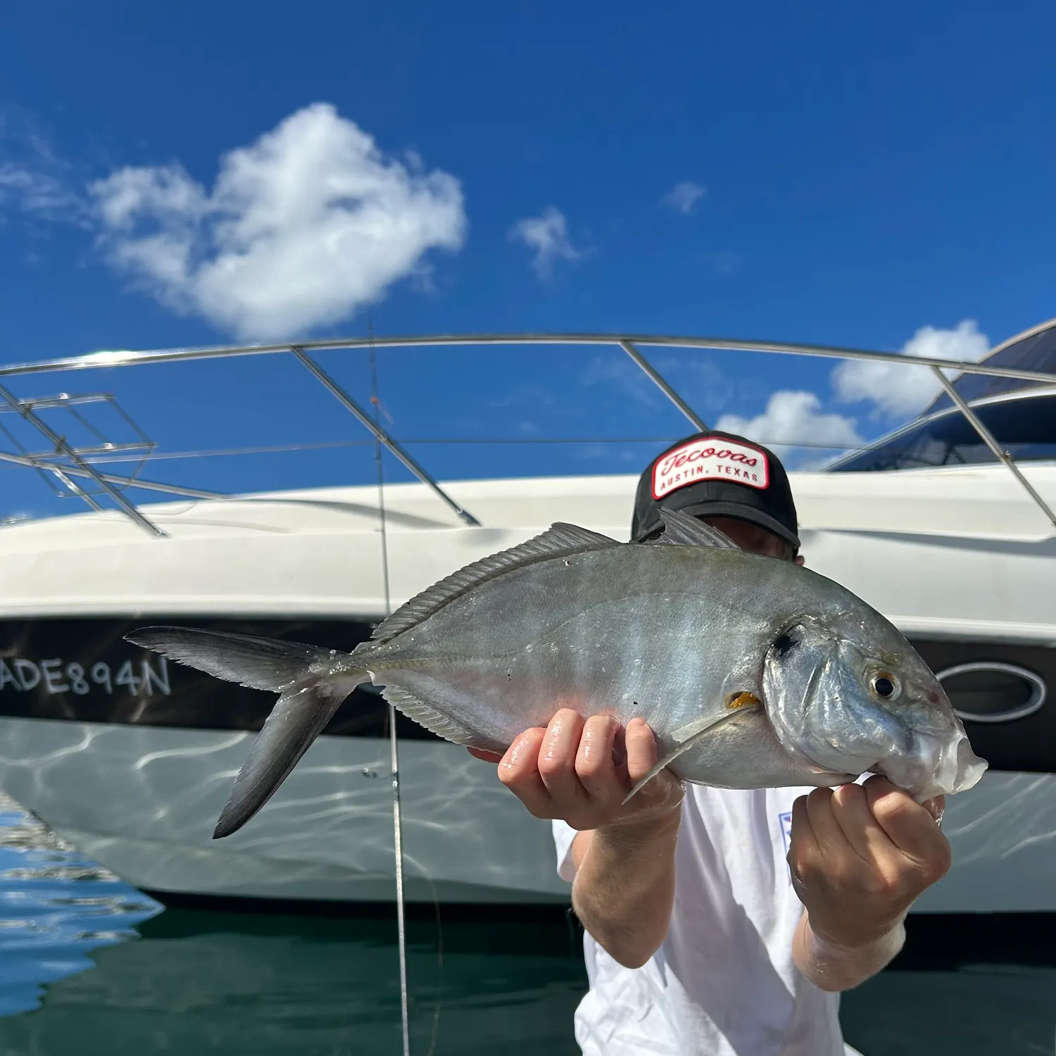 The most recent White trevally catches on Fishbrain