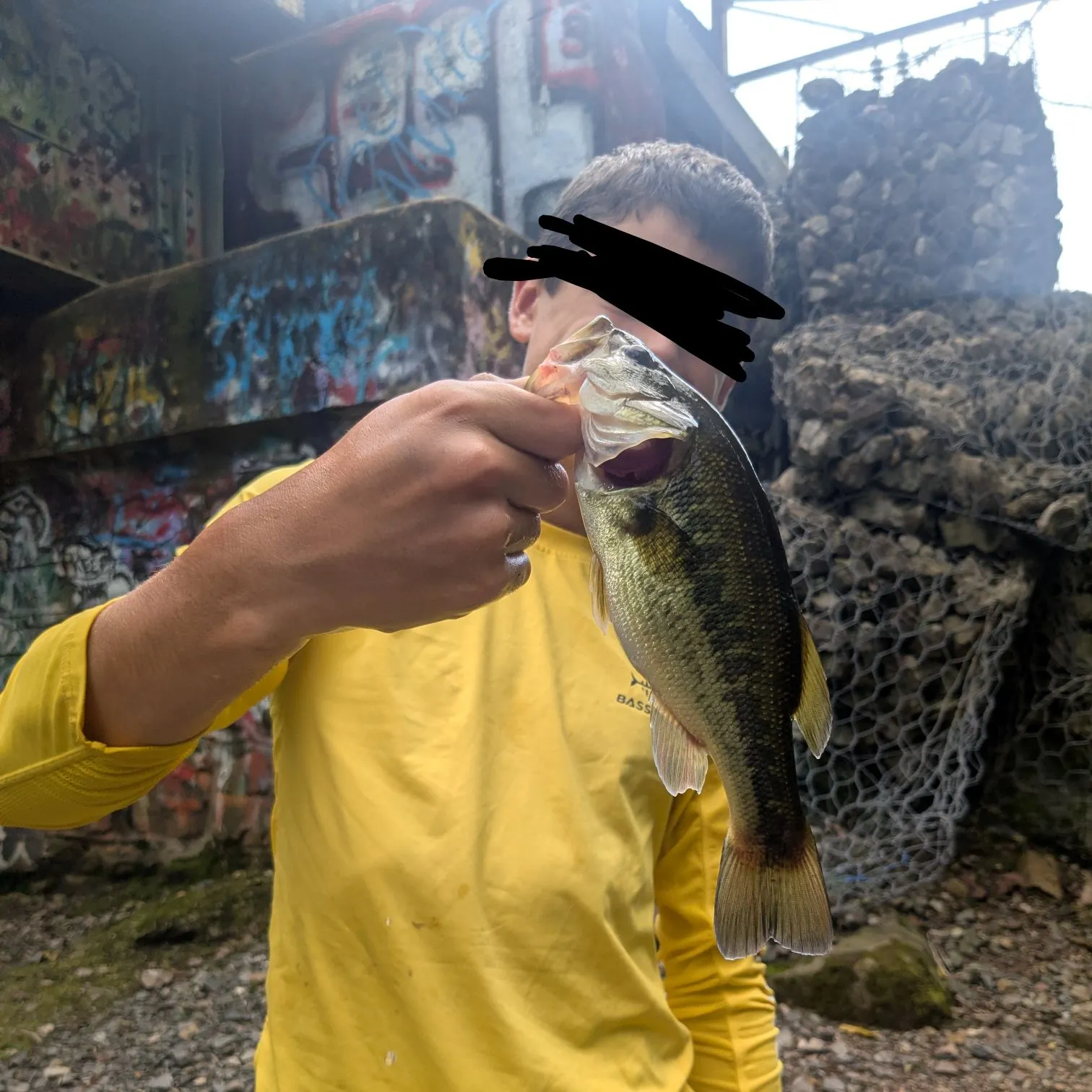 Largemouth bass caught on Fishbrain