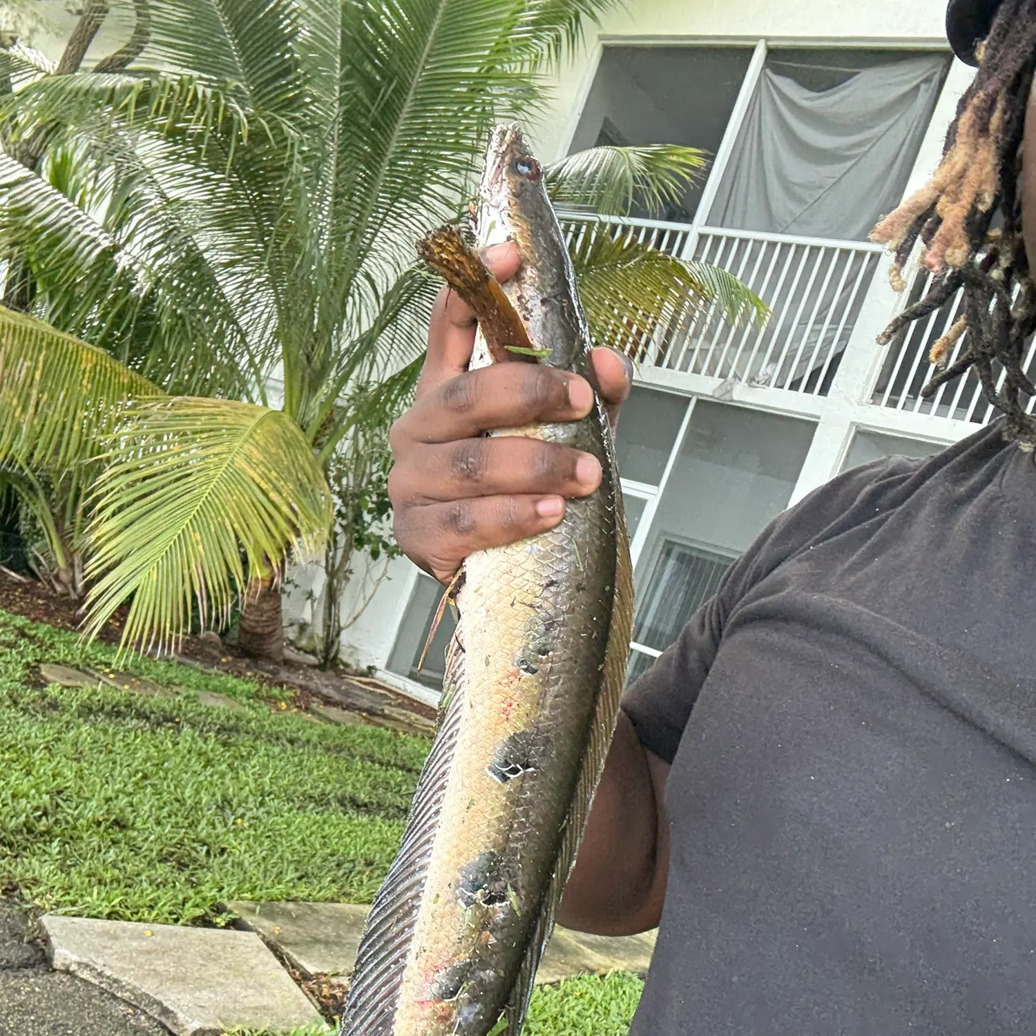 The most recent Bullseye snakehead catches on Fishbrain