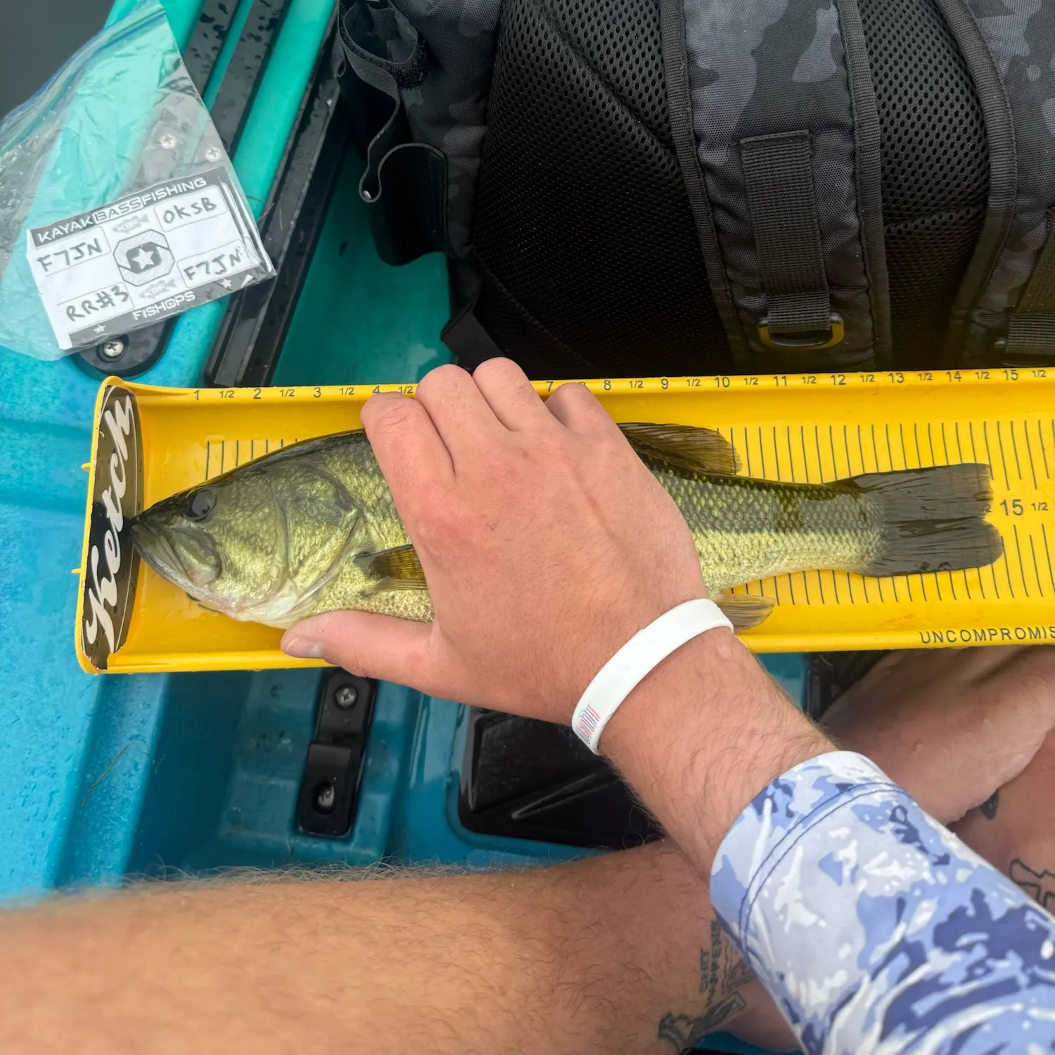 Largemouth bass caught on Fishbrain