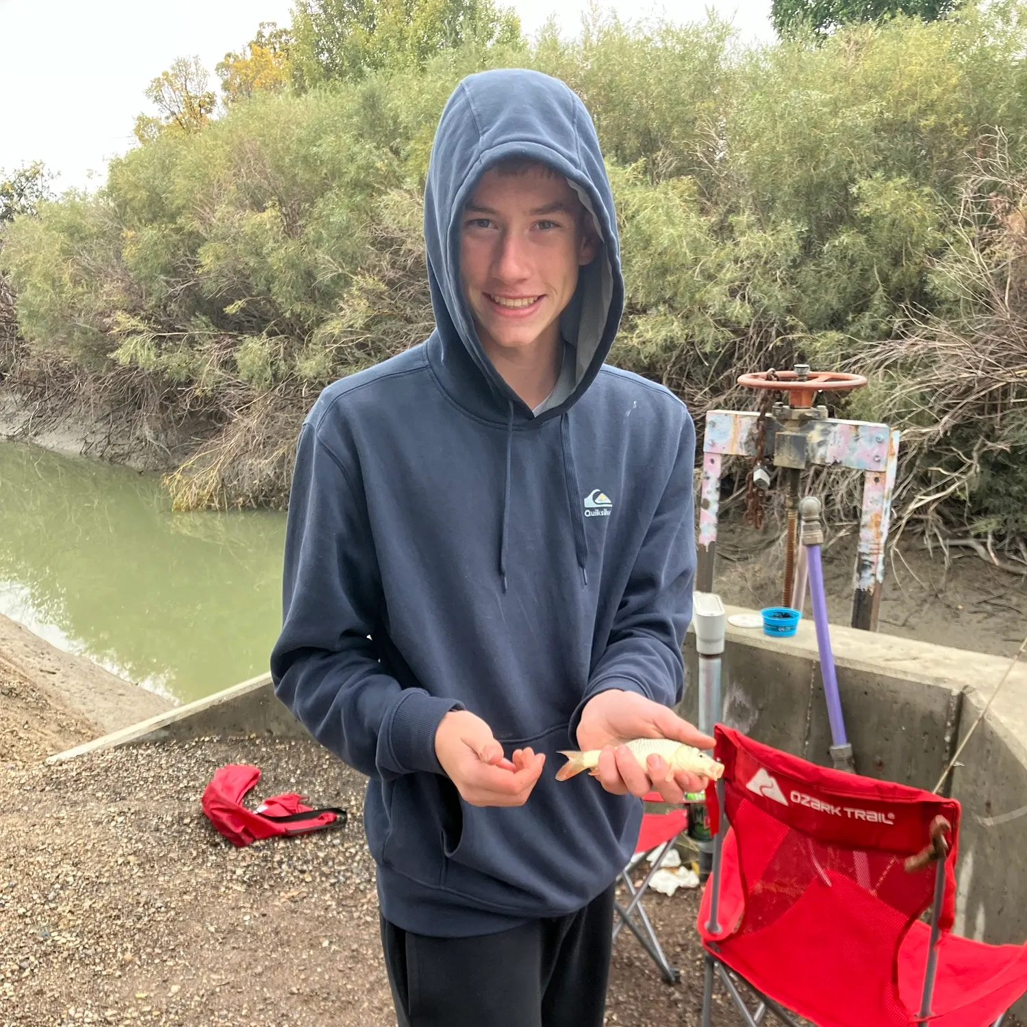 Common carp caught on Fishbrain
