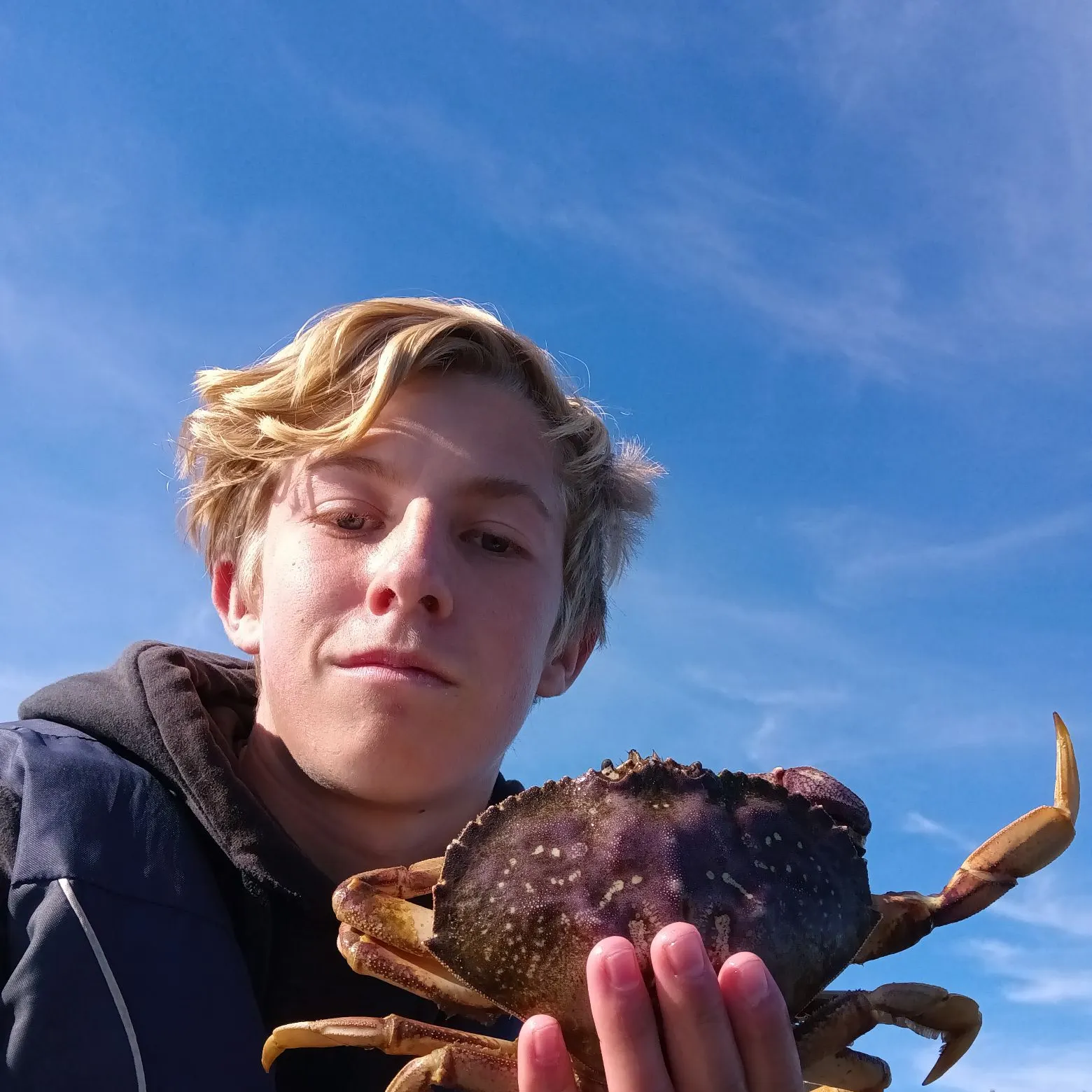 The most recent Dungeness crab catches on Fishbrain