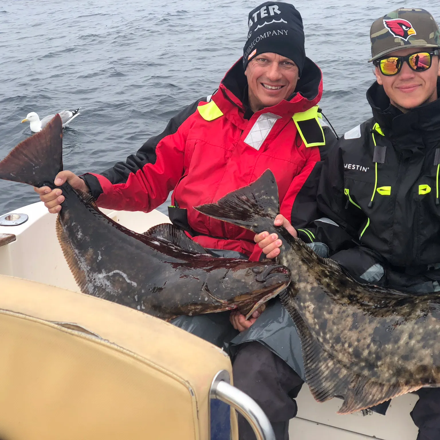 The most recent Atlantic halibut catches on Fishbrain