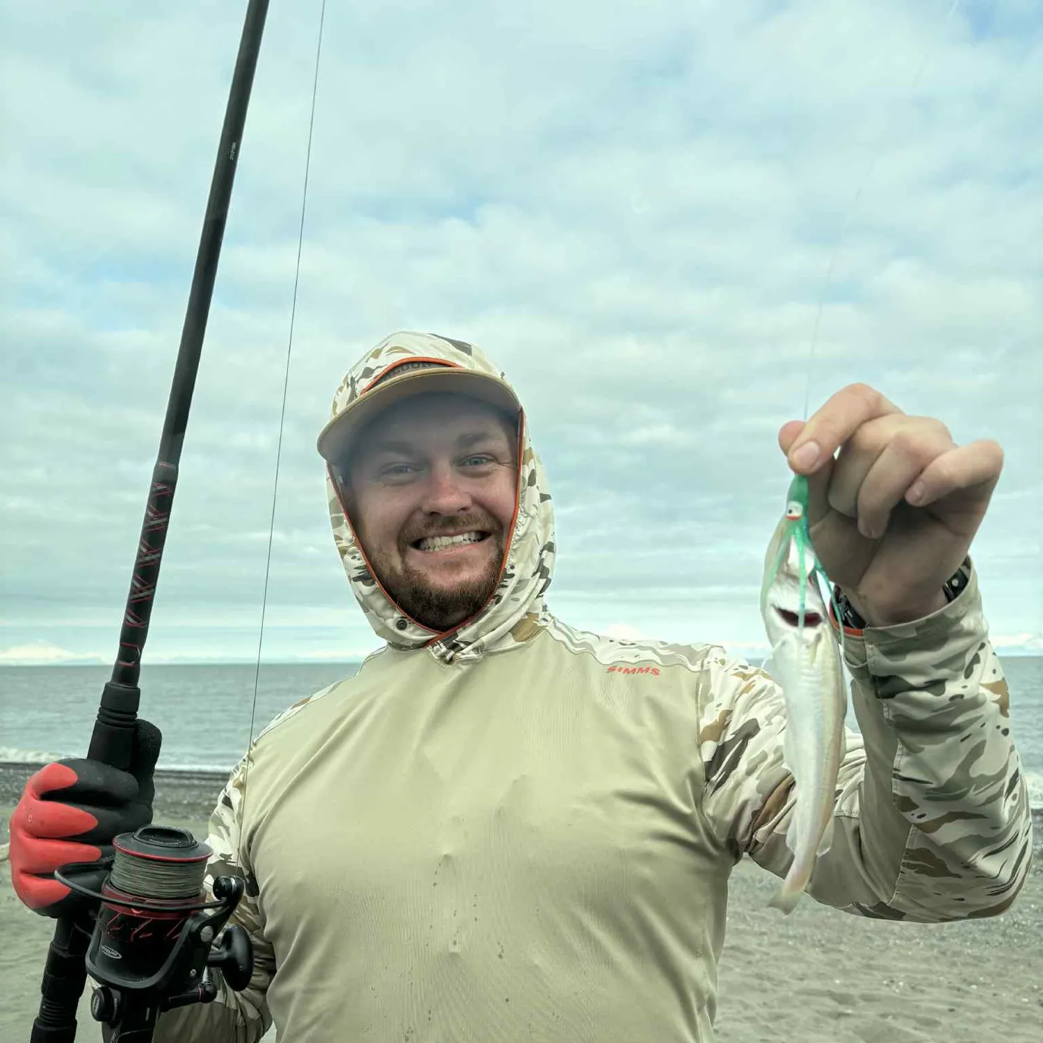 The most recent Pacific tomcod catches on Fishbrain