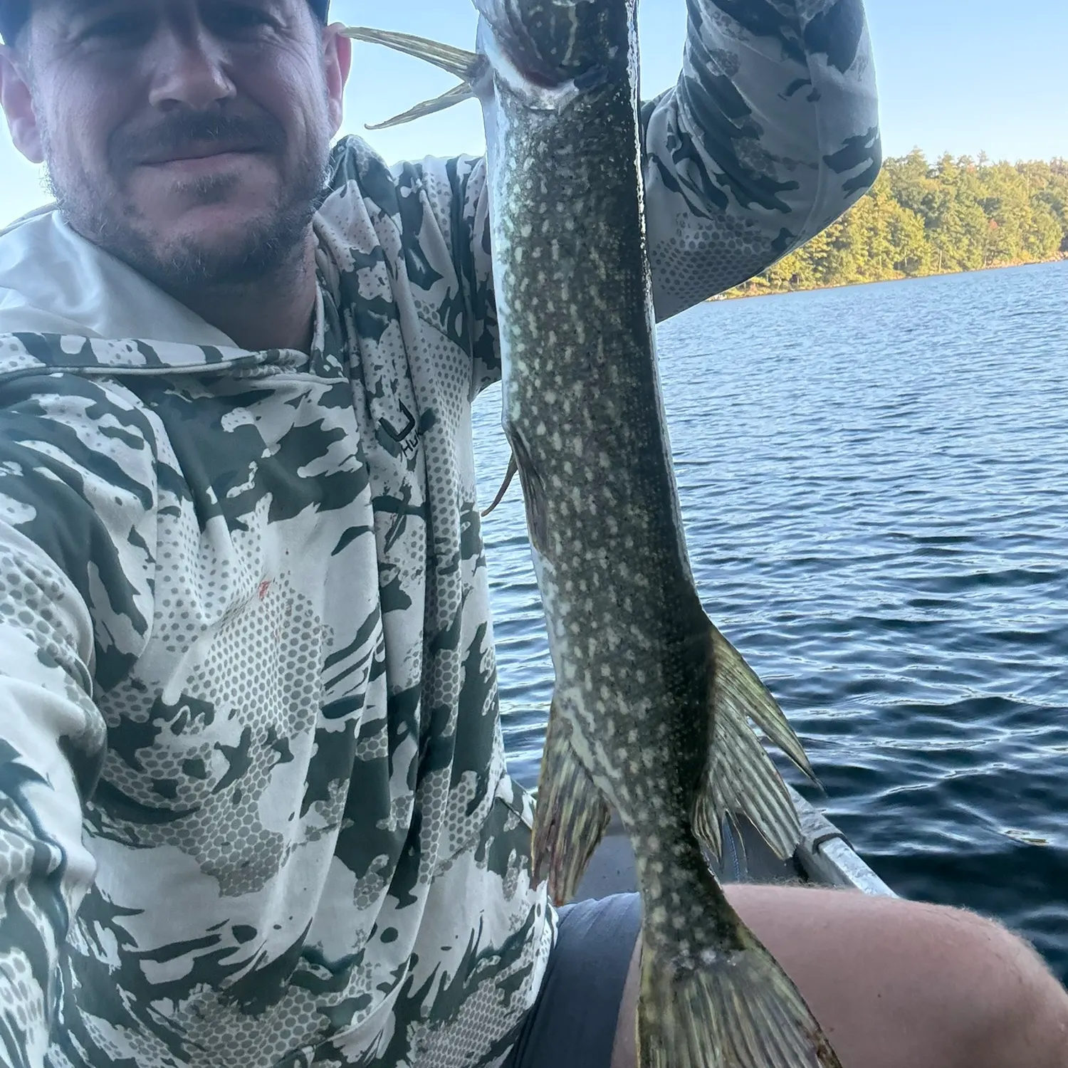 Northern pike caught on Fishbrain
