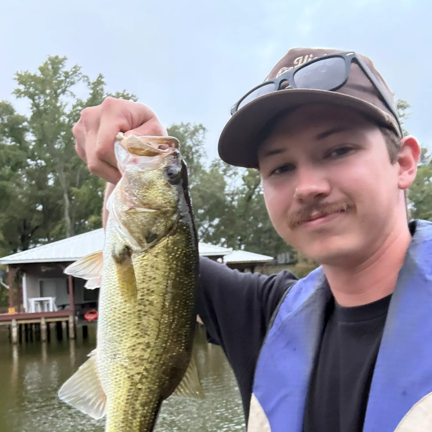 Largemouth bass caught on Fishbrain