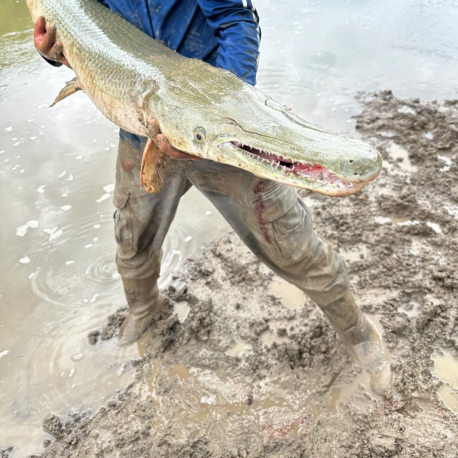 most liked catch image