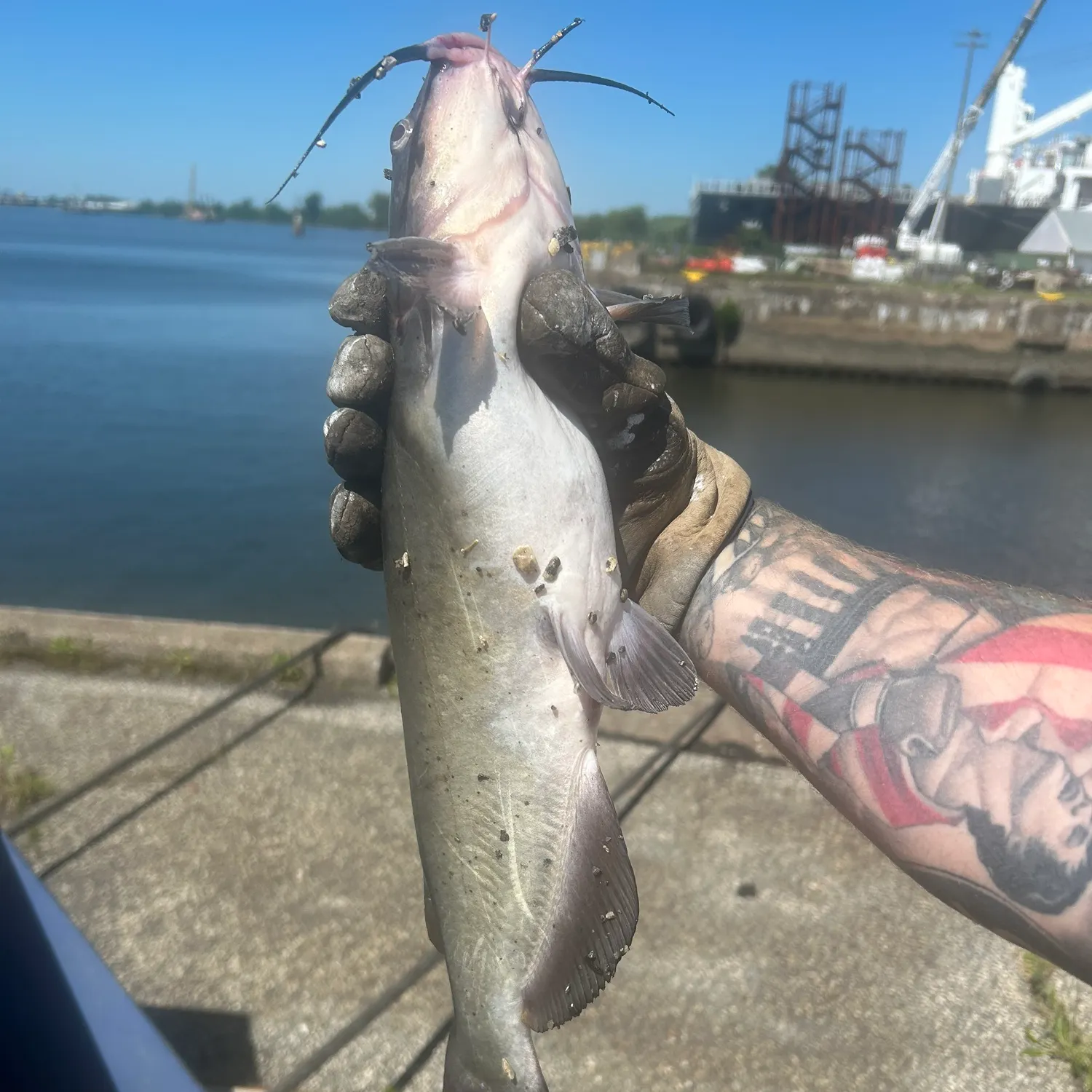 catch