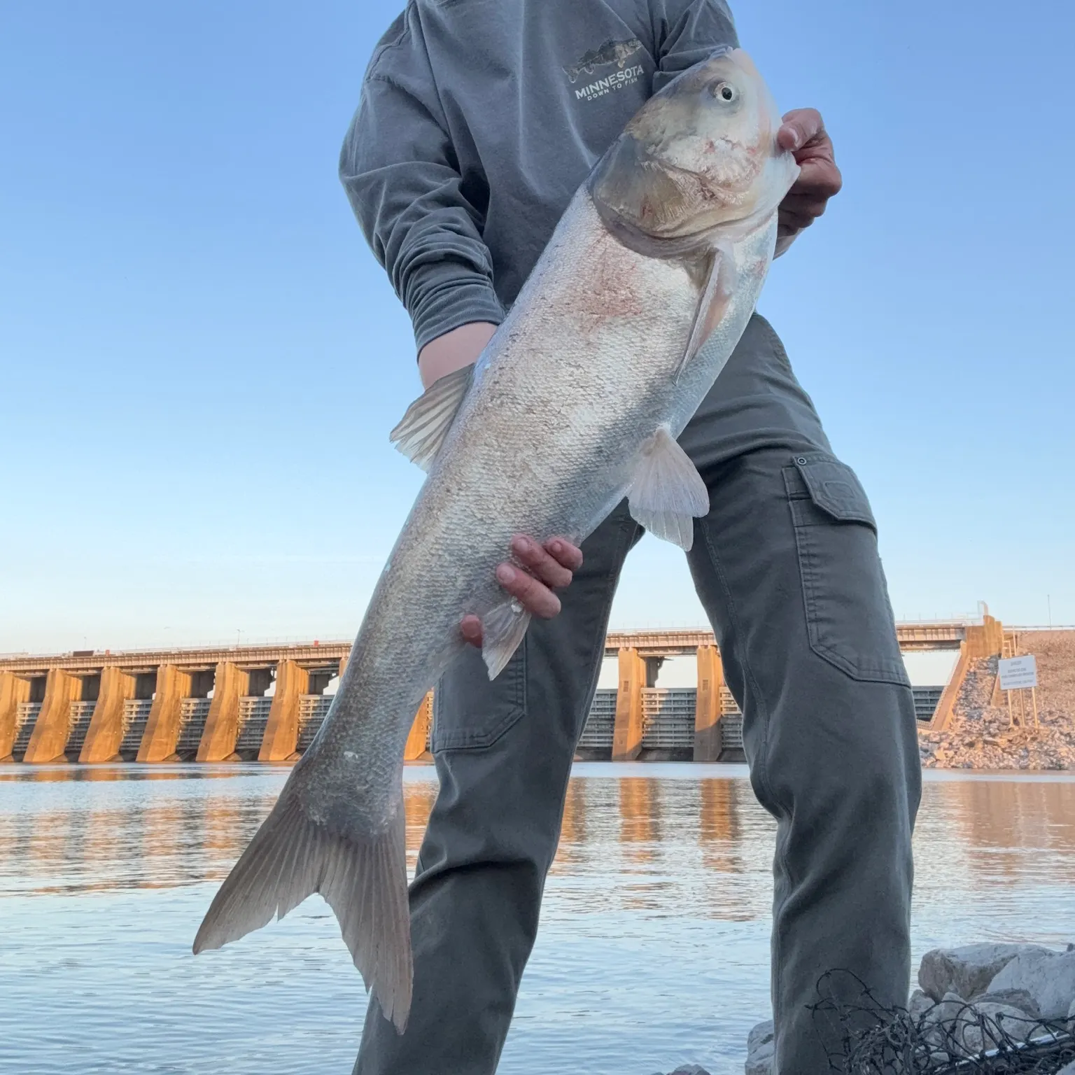 The most recent Silver carp catches on Fishbrain